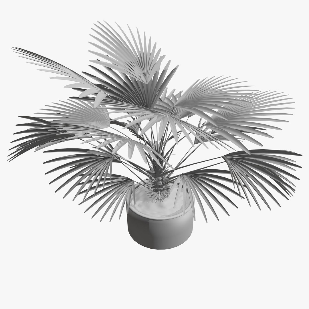Tropical Plants 3D Model – Low Poly Chinese Palm, Snow Bamboo & Dieffenbachia - View 11