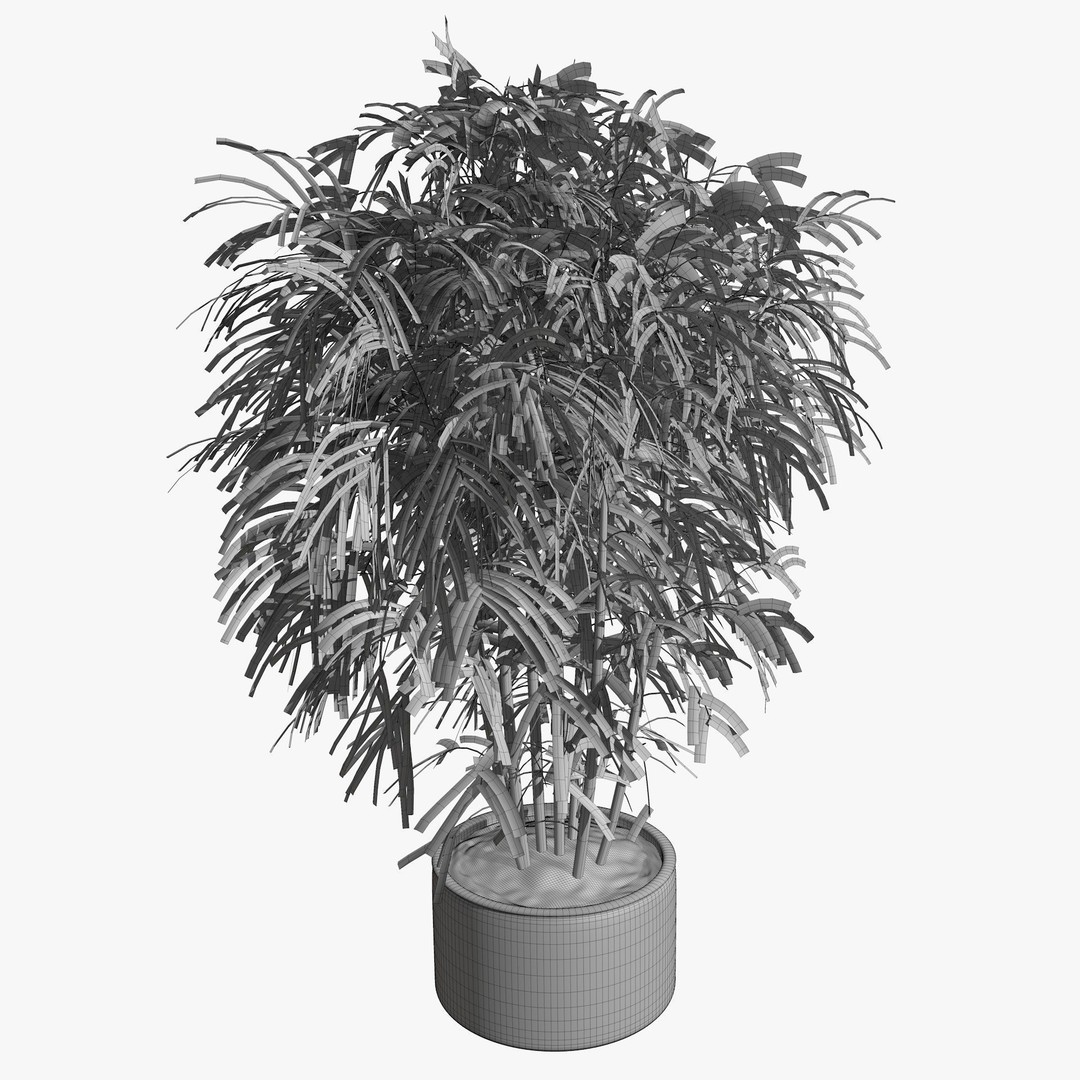 Tropical Plants 3D Model – Low Poly Chinese Palm, Snow Bamboo & Dieffenbachia - View 14