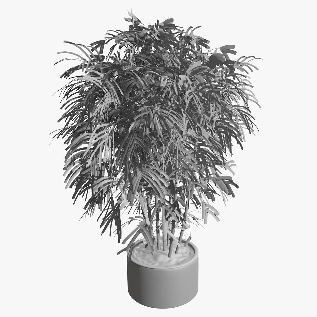 Tropical Plants 3D Model – Low Poly Chinese Palm, Snow Bamboo & Dieffenbachia - View 15