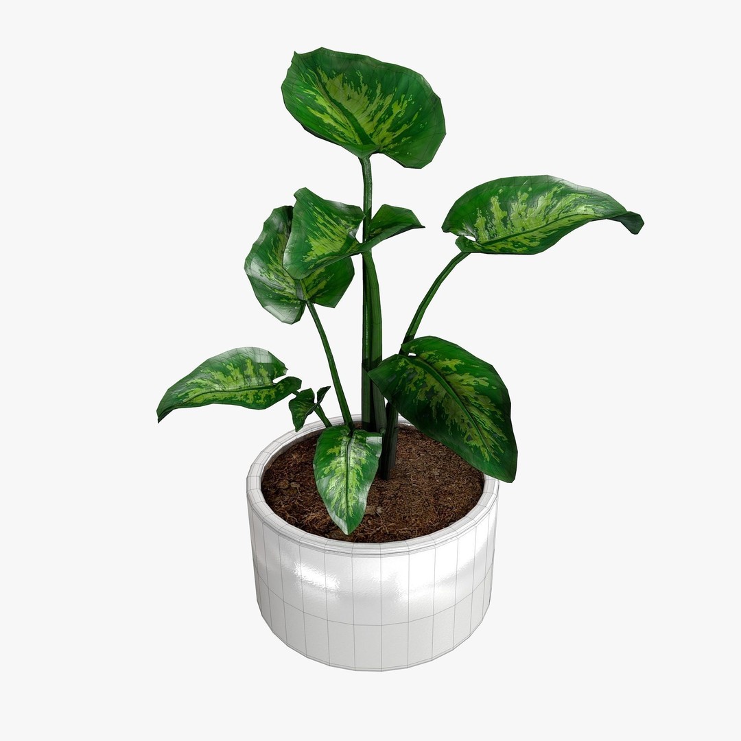 Tropical Plants 3D Model – Low Poly Chinese Palm, Snow Bamboo & Dieffenbachia - View 4
