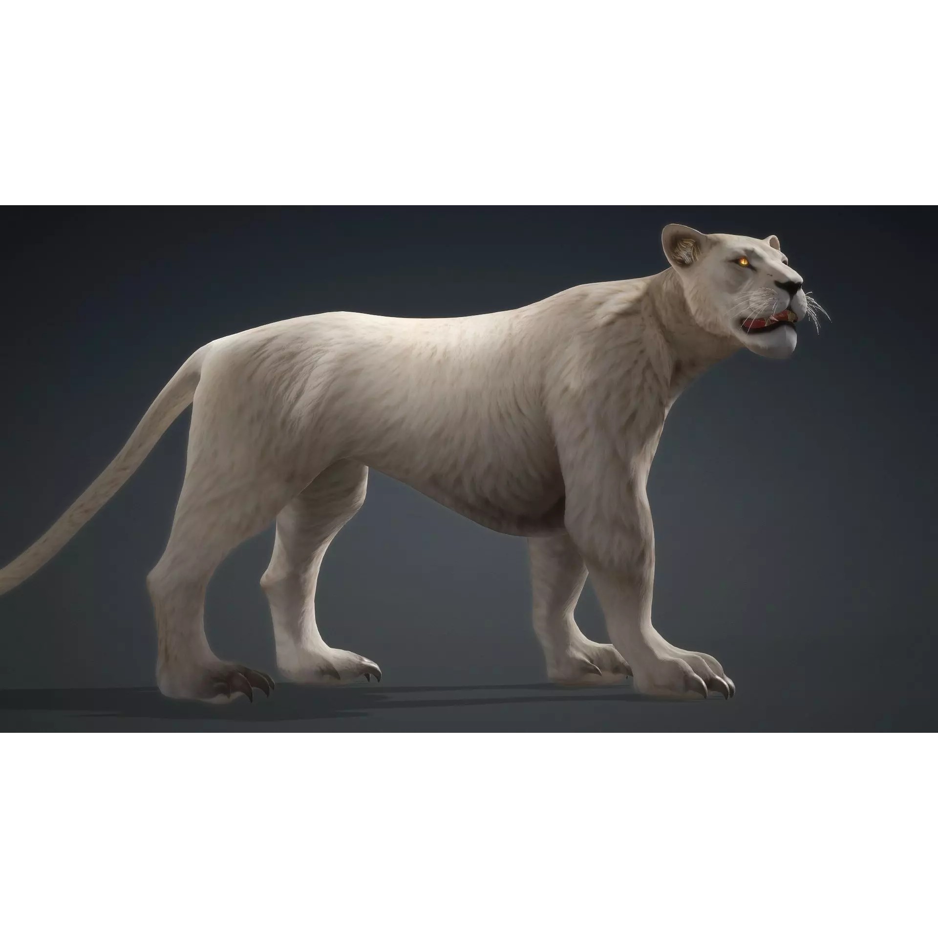 Sunfall Monarch Lion - Rigged Animated Game-Ready 3D Model - View 20