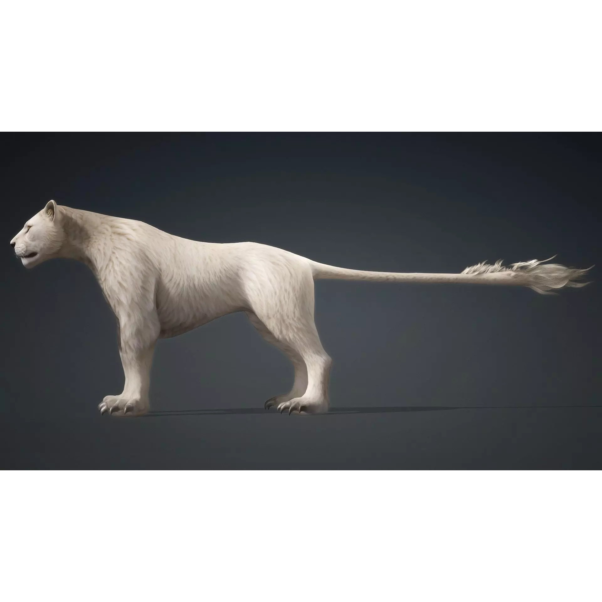 Sunfall Monarch Lion - Rigged Animated Game-Ready 3D Model - View 6