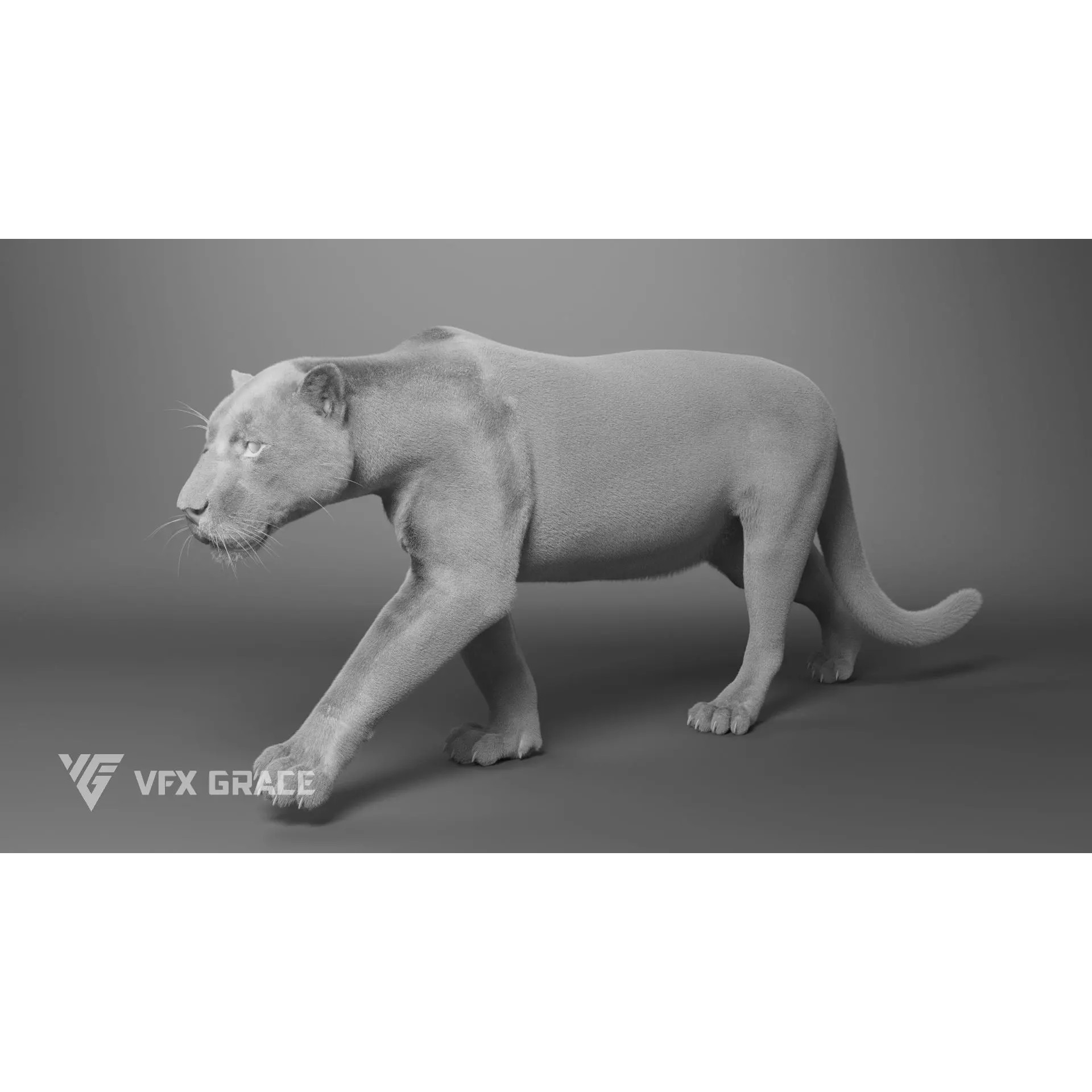 Jaguar Rigged - Game-Ready 3D Model - View 12