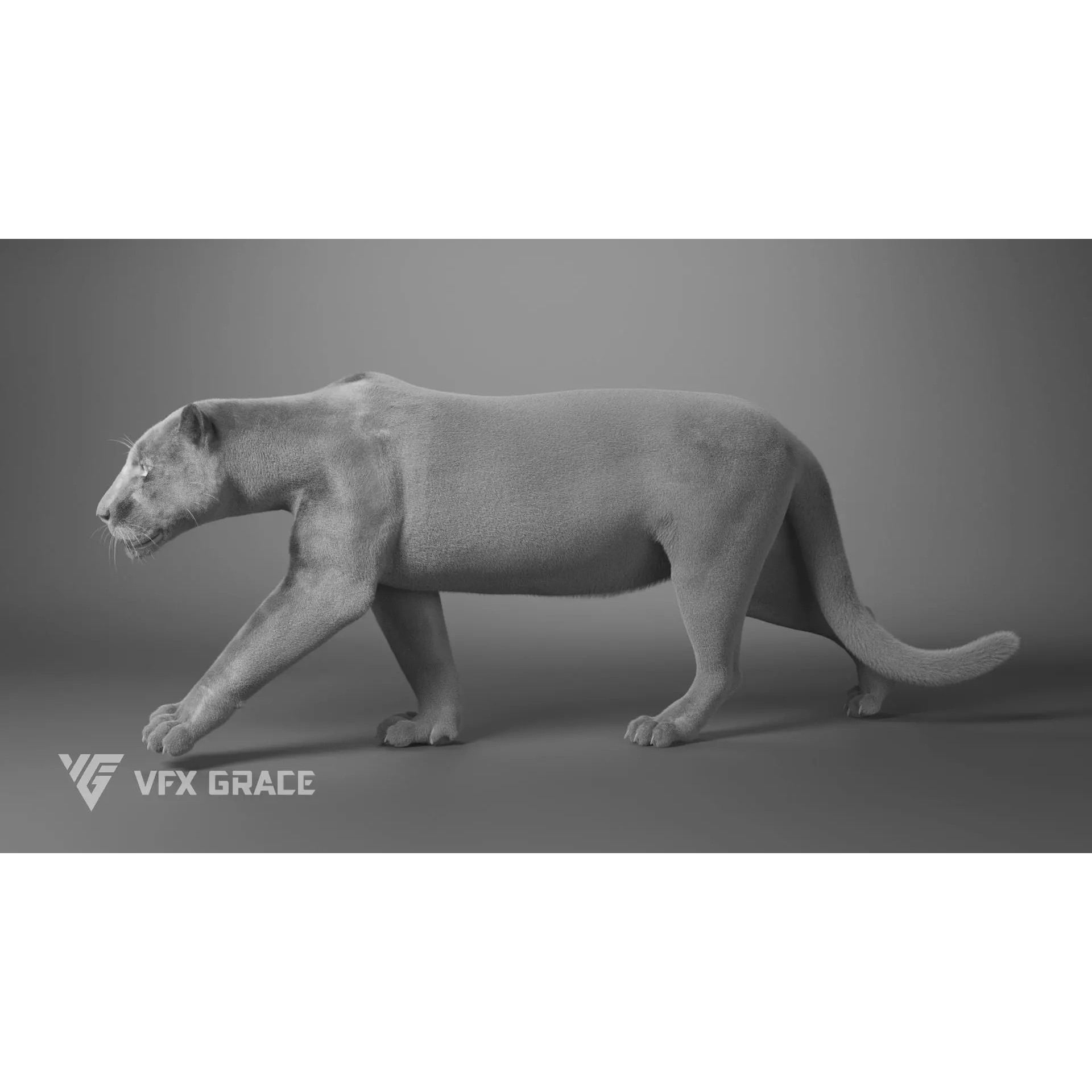 Jaguar Rigged - Game-Ready 3D Model - View 13