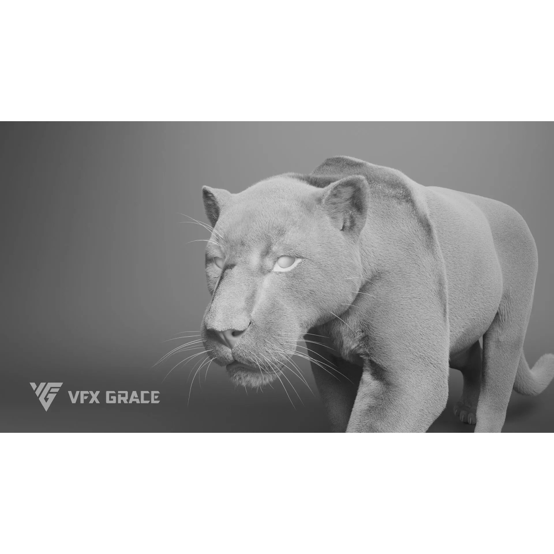 Jaguar Rigged - Game-Ready 3D Model - View 14