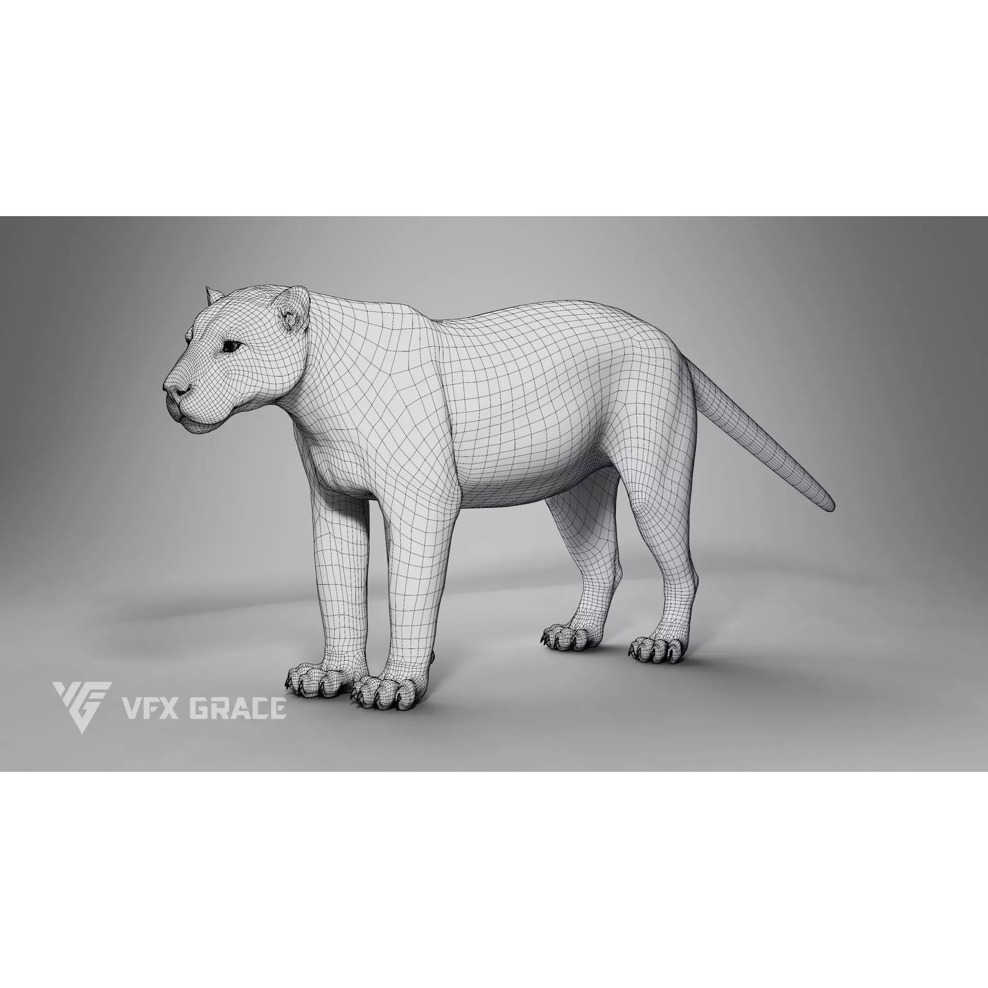 Jaguar Rigged - Game-Ready 3D Model - View 16