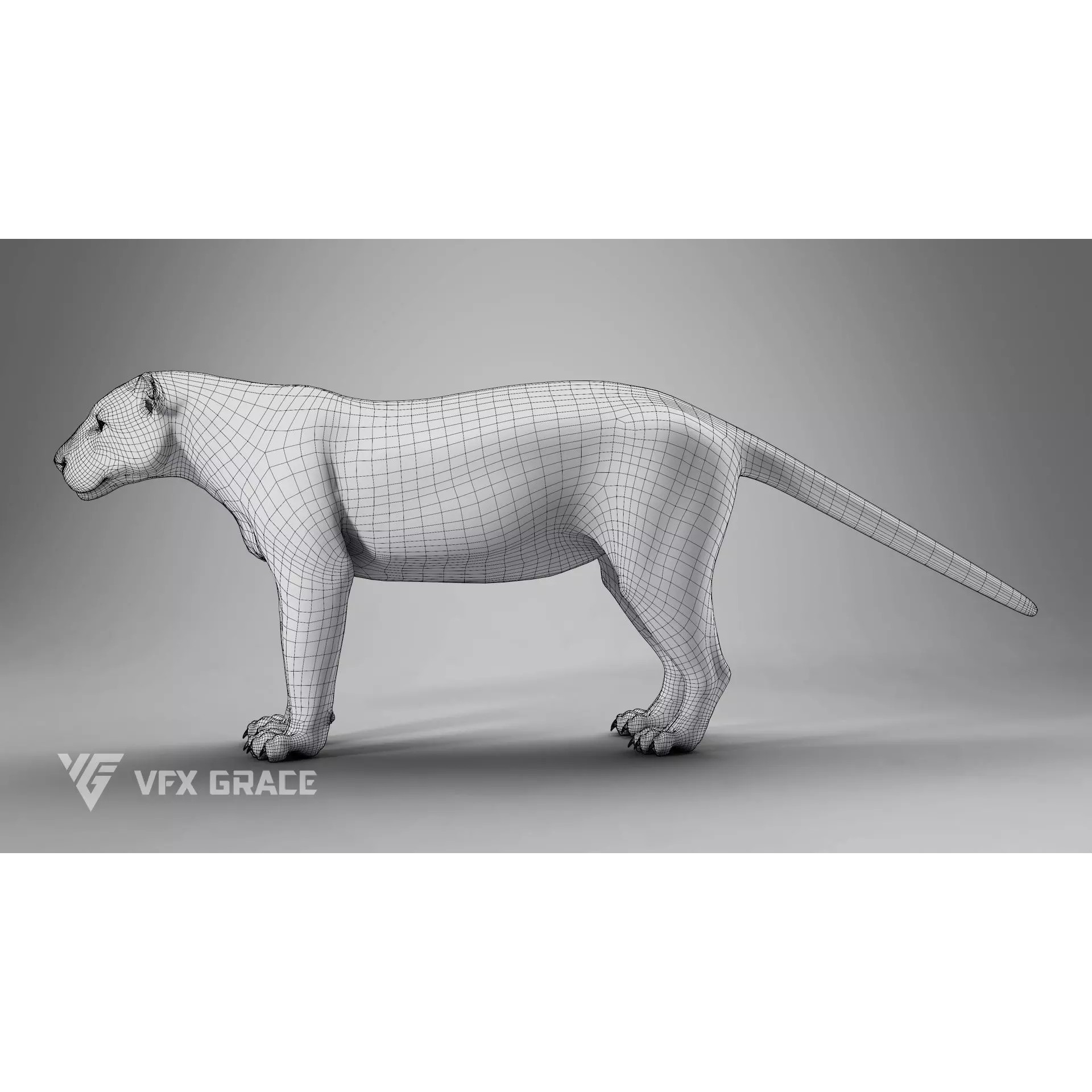 Jaguar Rigged - Game-Ready 3D Model - View 17