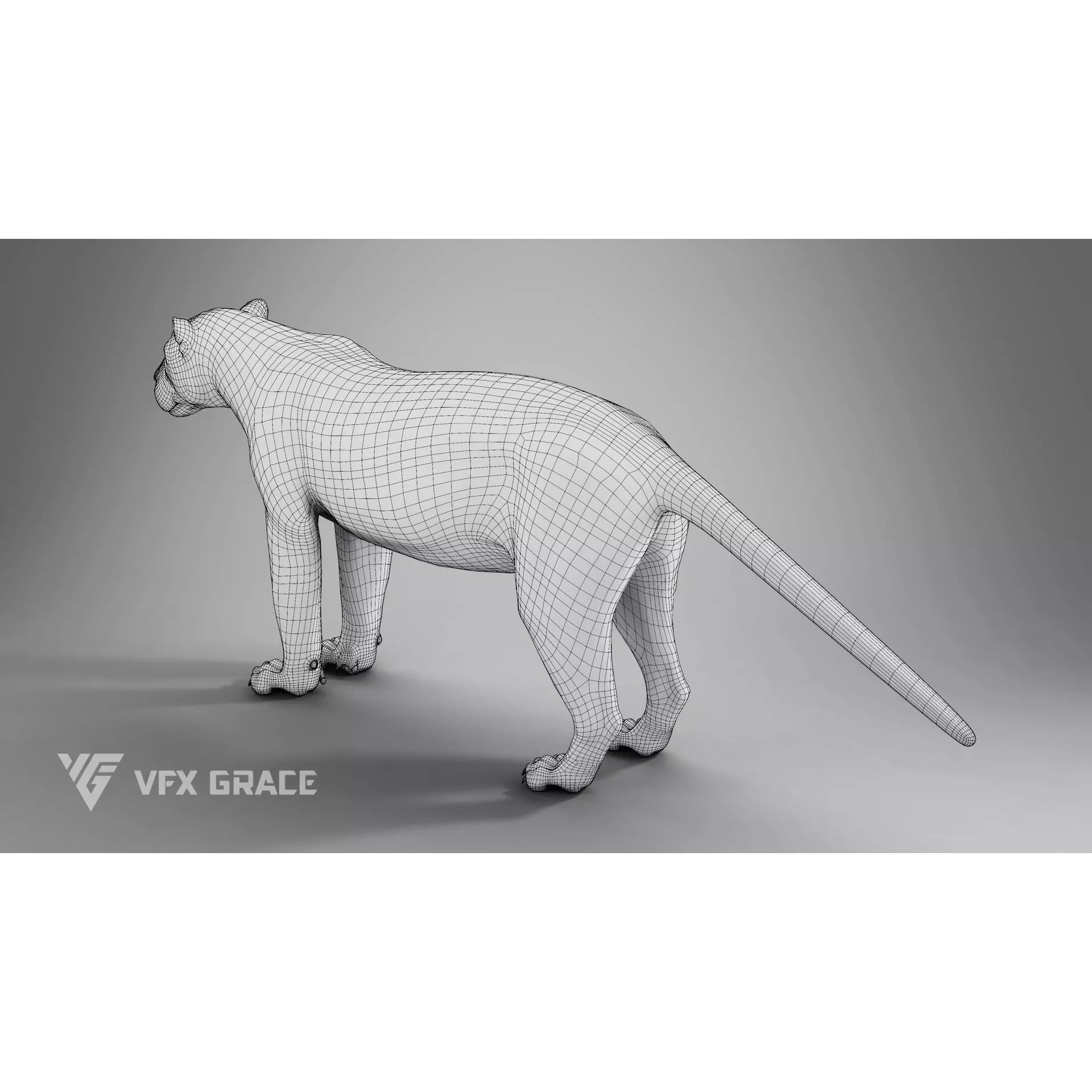 Jaguar Rigged - Game-Ready 3D Model - View 18