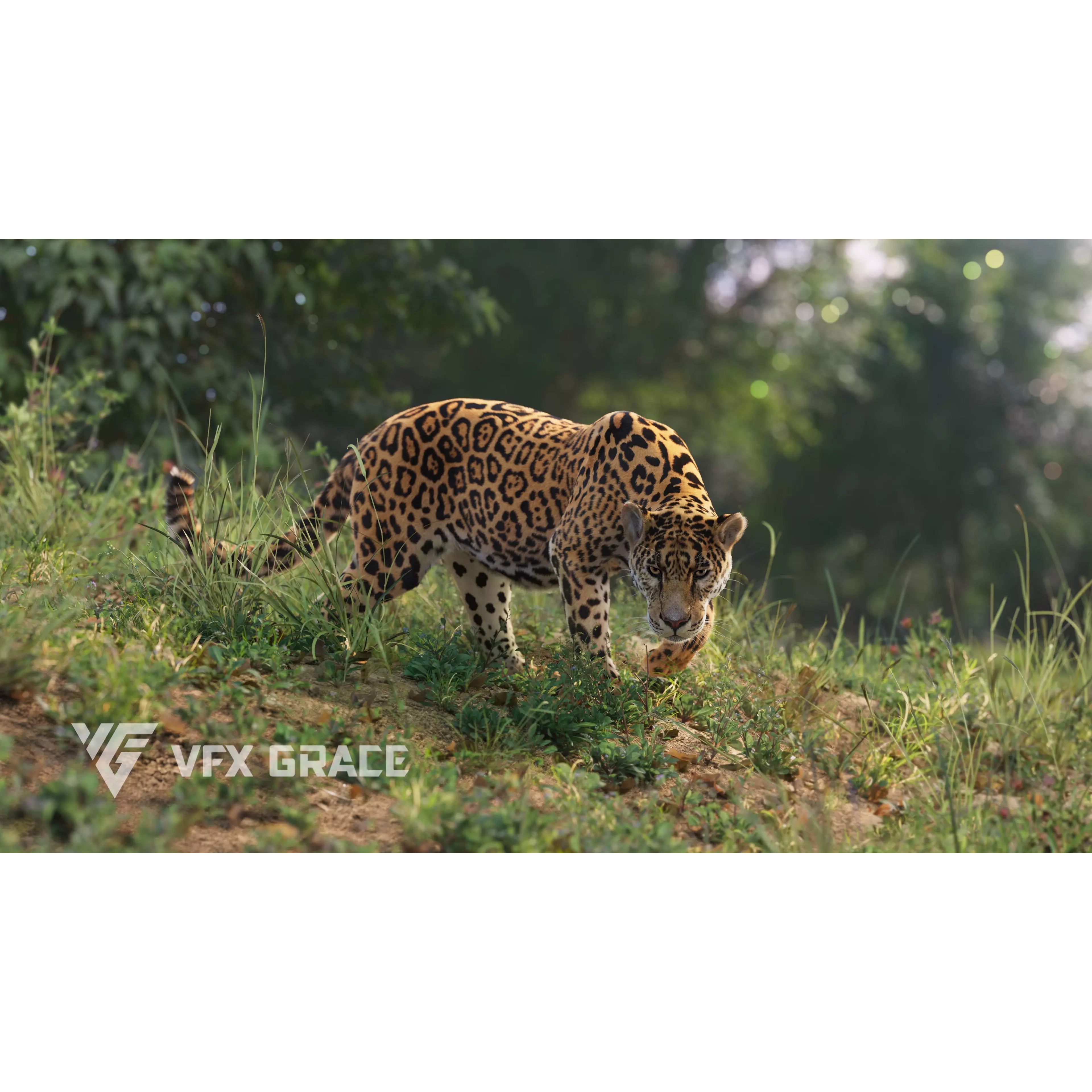 Jaguar Rigged - Game-Ready 3D Model - View 2