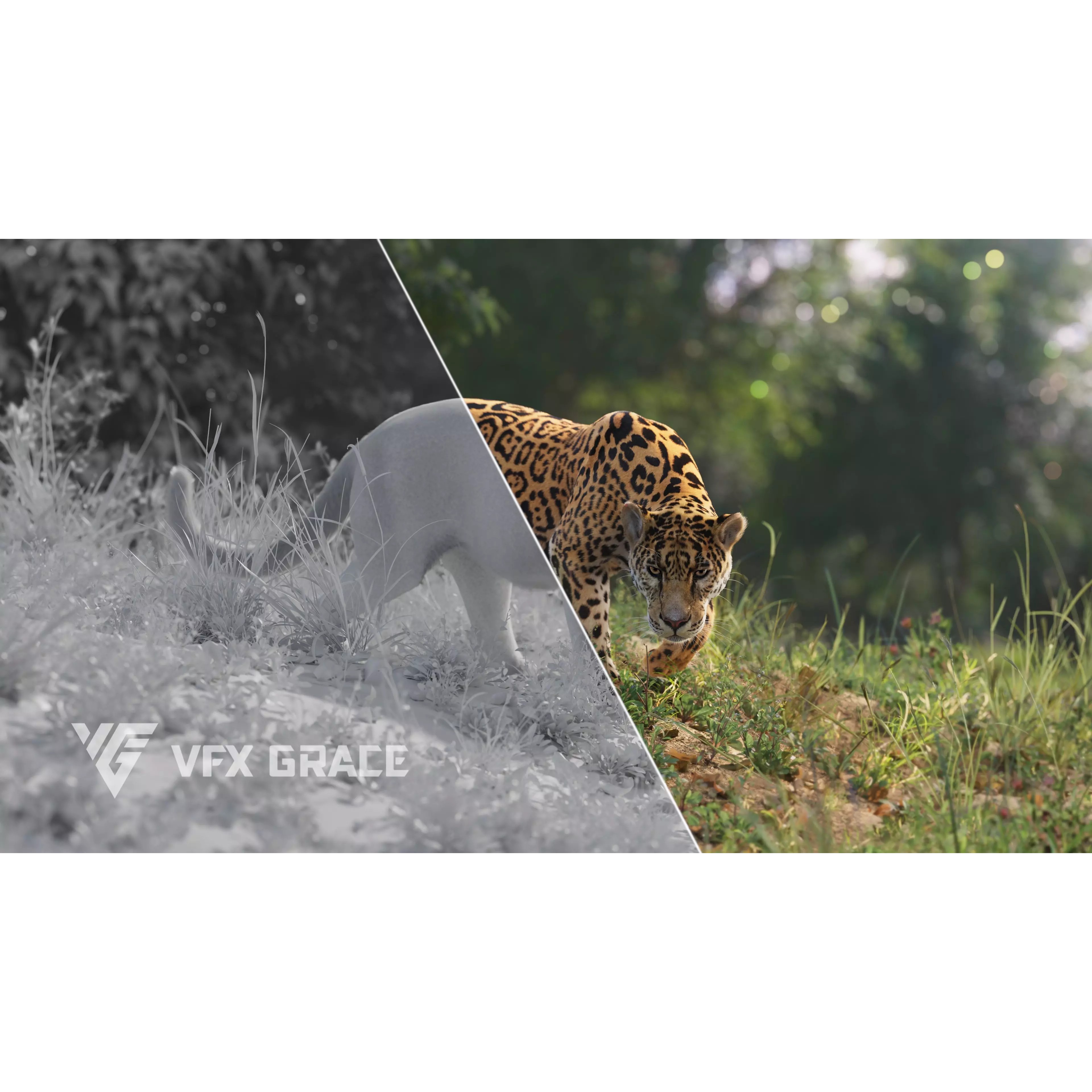 Jaguar Rigged - Game-Ready 3D Model - View 3