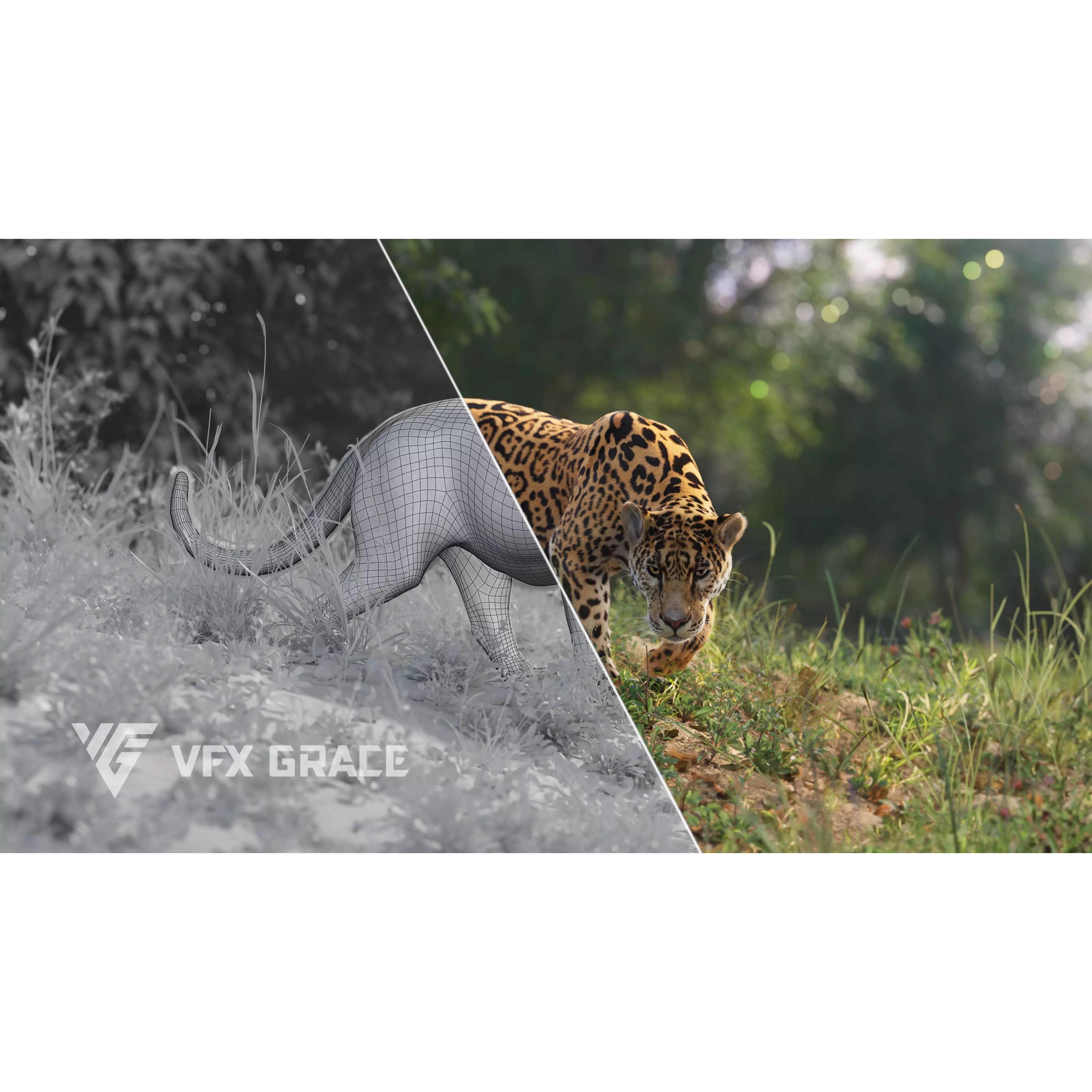 Jaguar Rigged - Game-Ready 3D Model - View 4