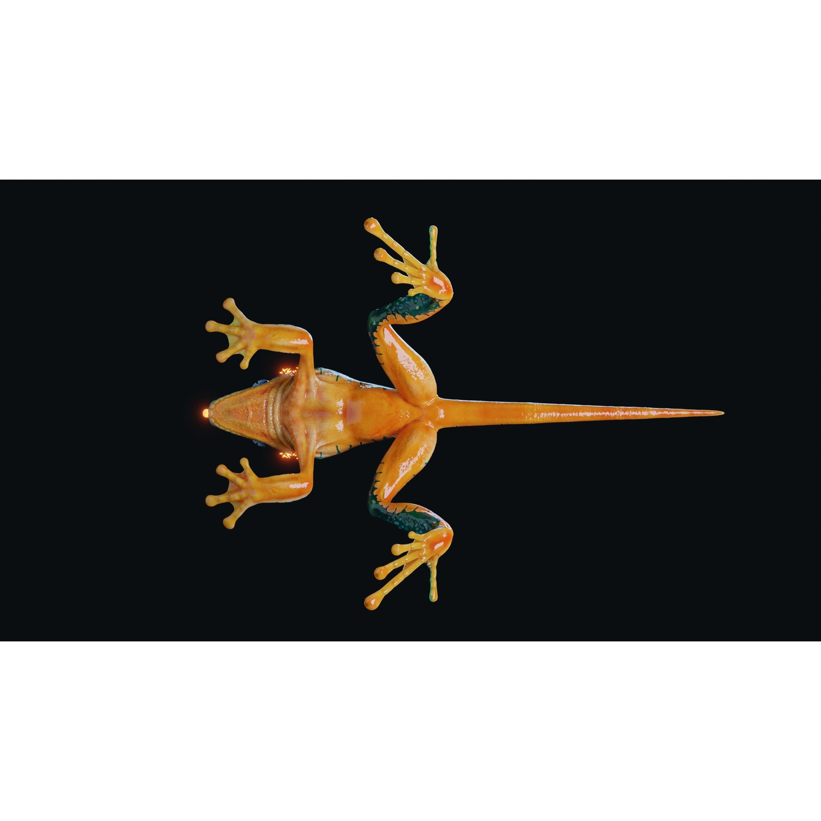 Fantasy Reptile - Low-Poly Game-Ready 3D Model - View 25