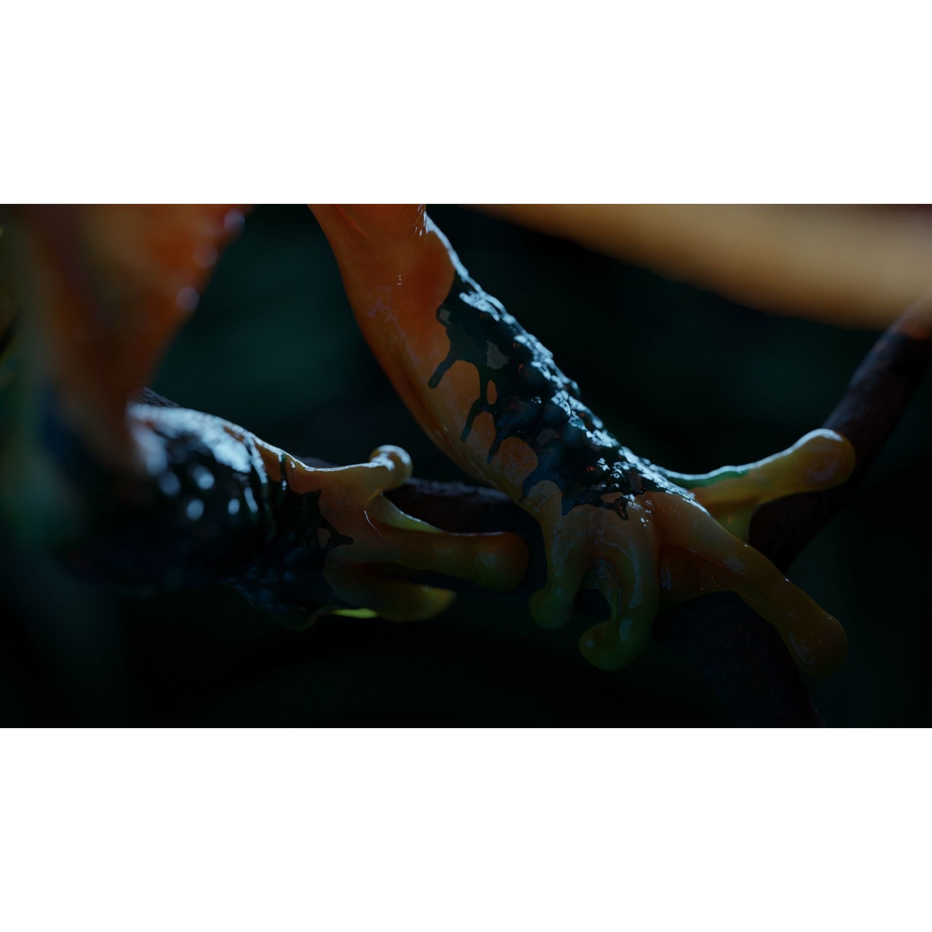 Fantasy Reptile - Low-Poly Game-Ready 3D Model - View 6