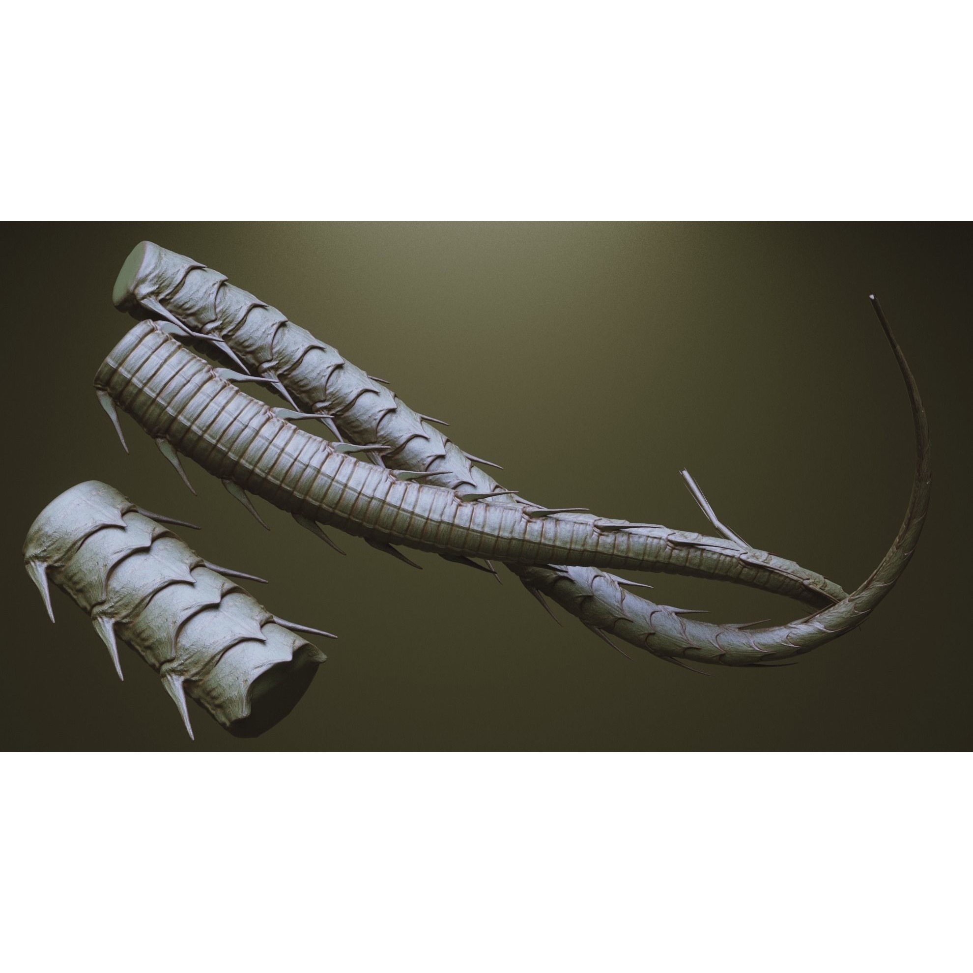 Tentacles - ZBrush Brushes and OBJ 3D Model - View 17