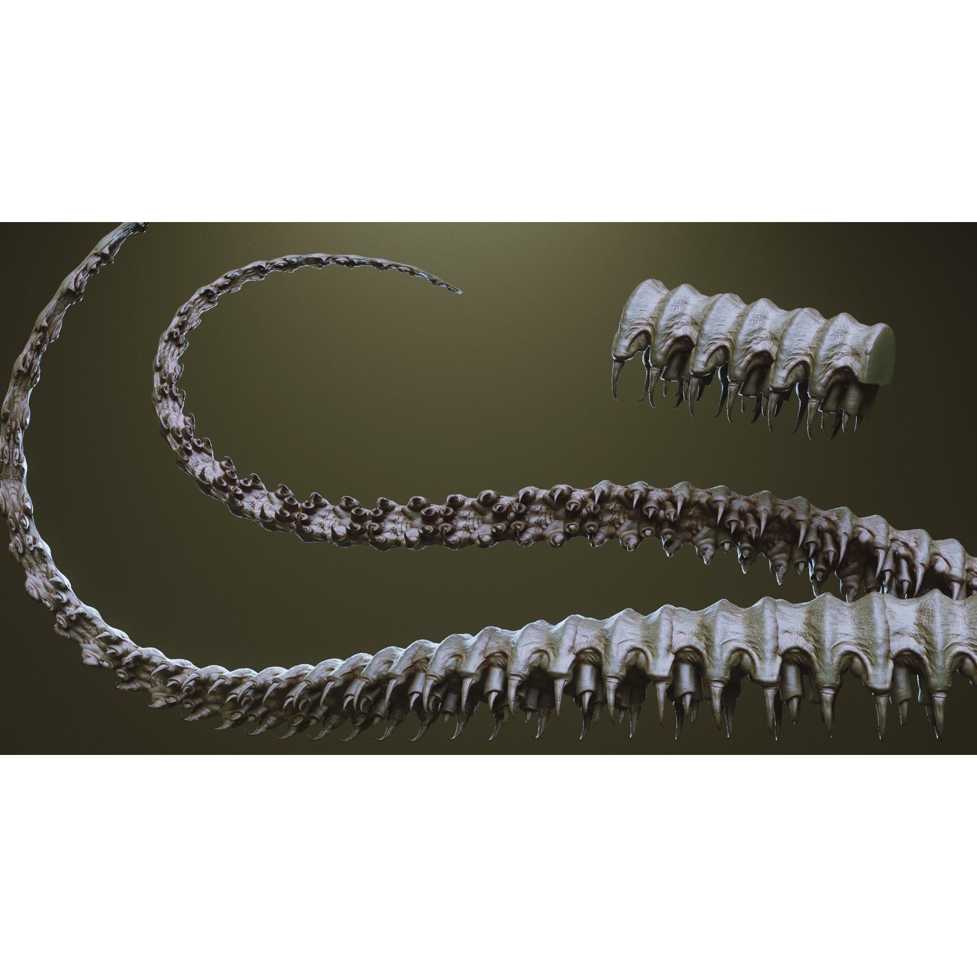 Tentacles - ZBrush Brushes and OBJ 3D Model - View 18