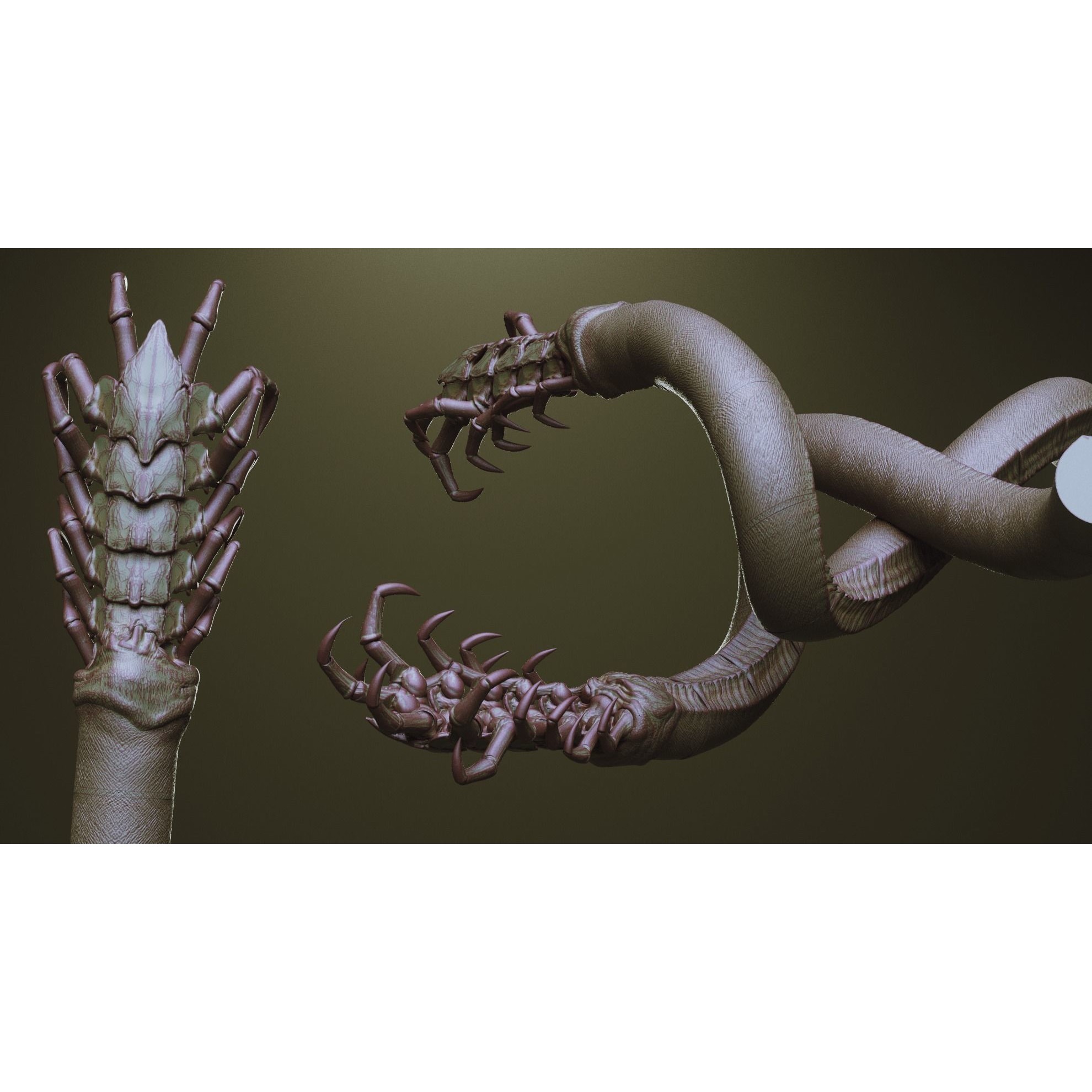 Tentacles - ZBrush Brushes and OBJ 3D Model - View 25