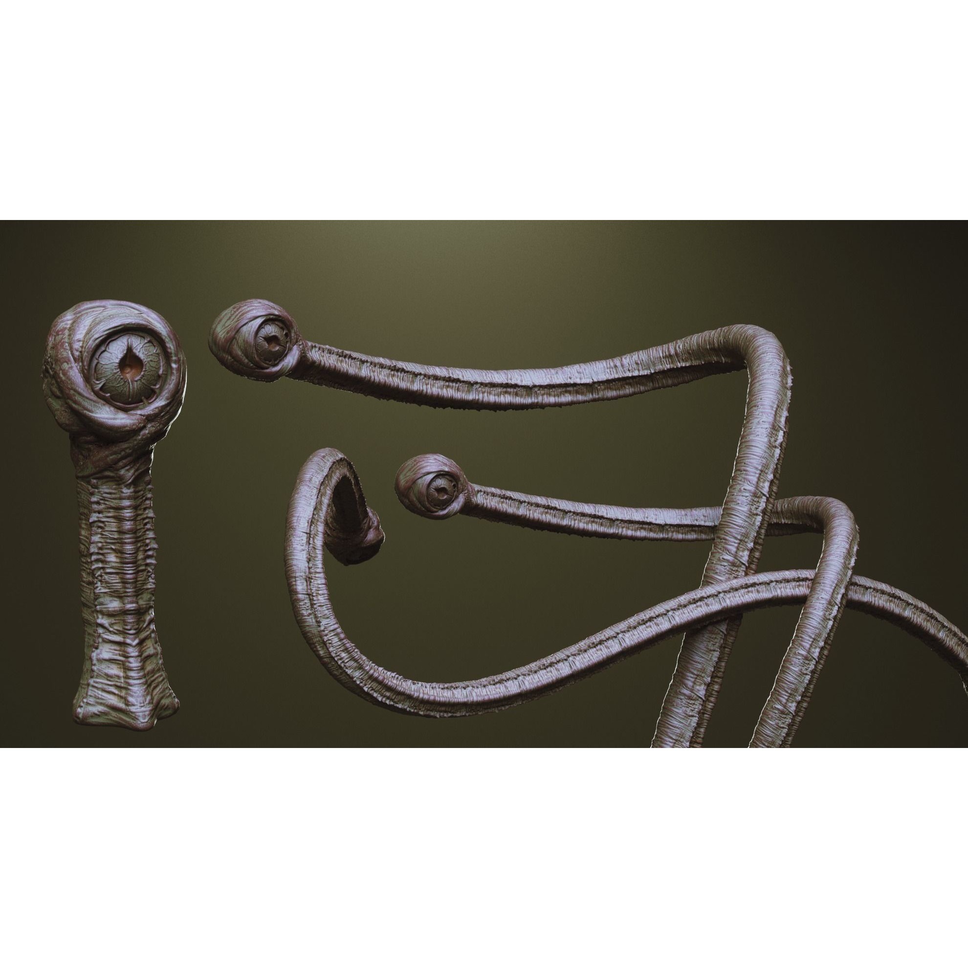 Tentacles - ZBrush Brushes and OBJ 3D Model - View 28