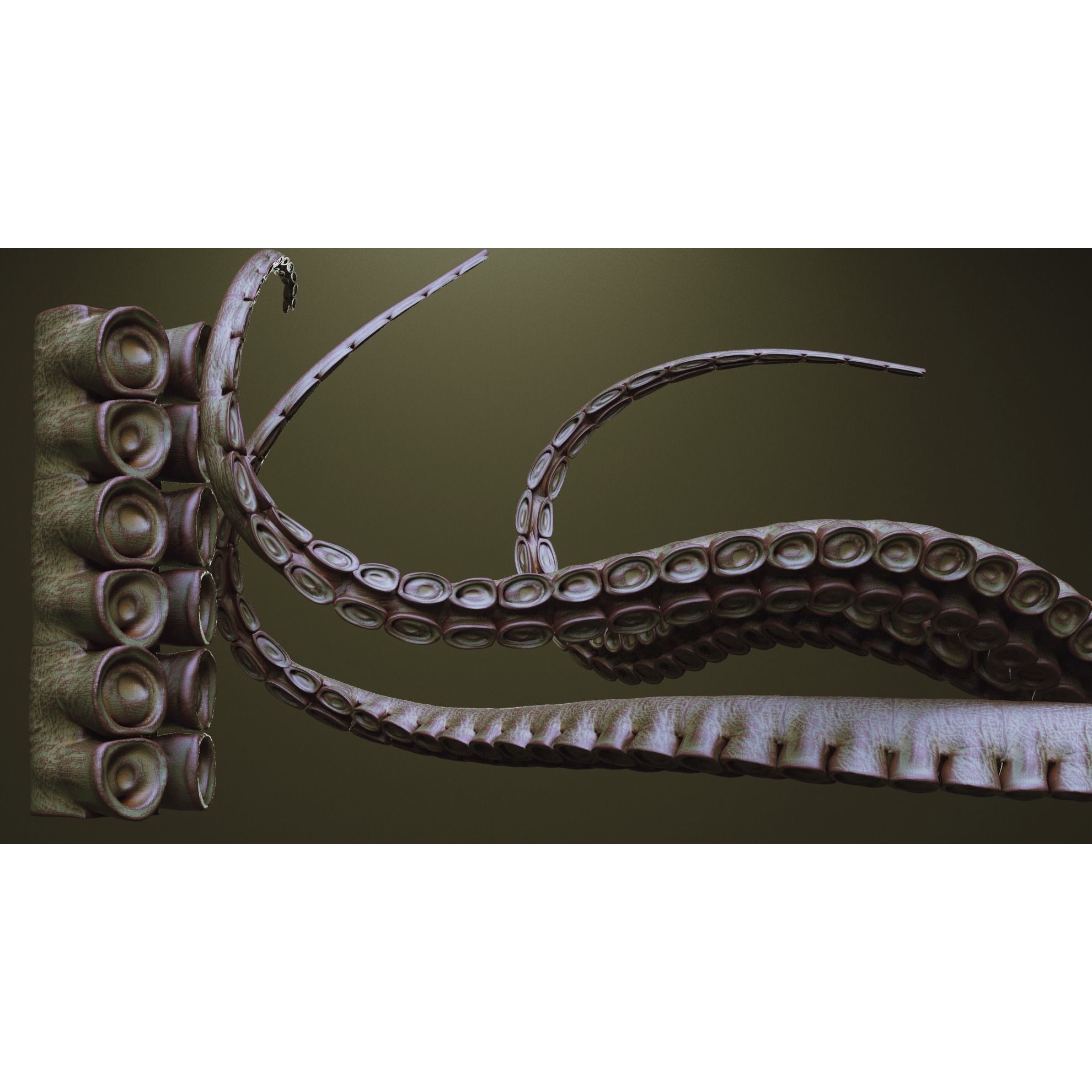Tentacles - ZBrush Brushes and OBJ 3D Model - View 32