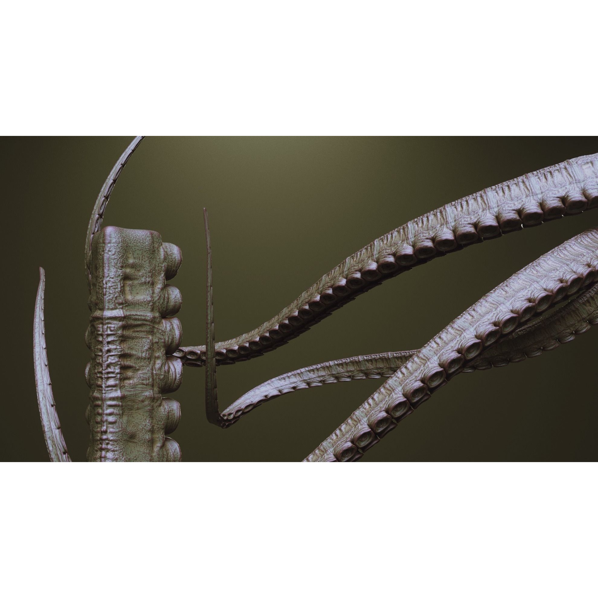 Tentacles - ZBrush Brushes and OBJ 3D Model - View 33