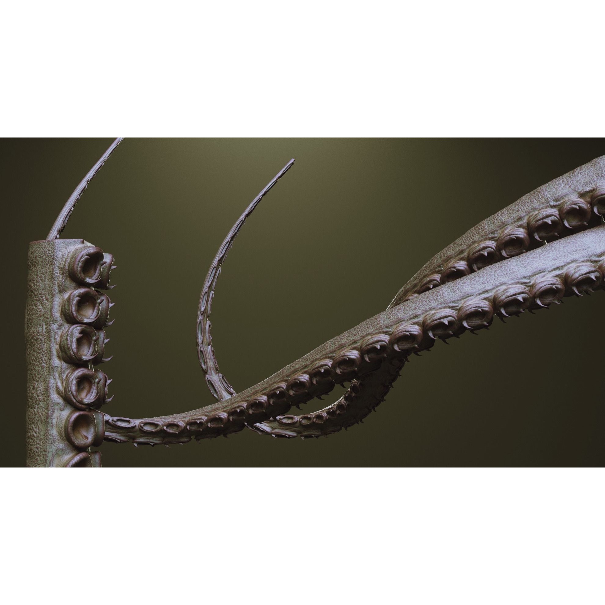 Tentacles - ZBrush Brushes and OBJ 3D Model - View 34