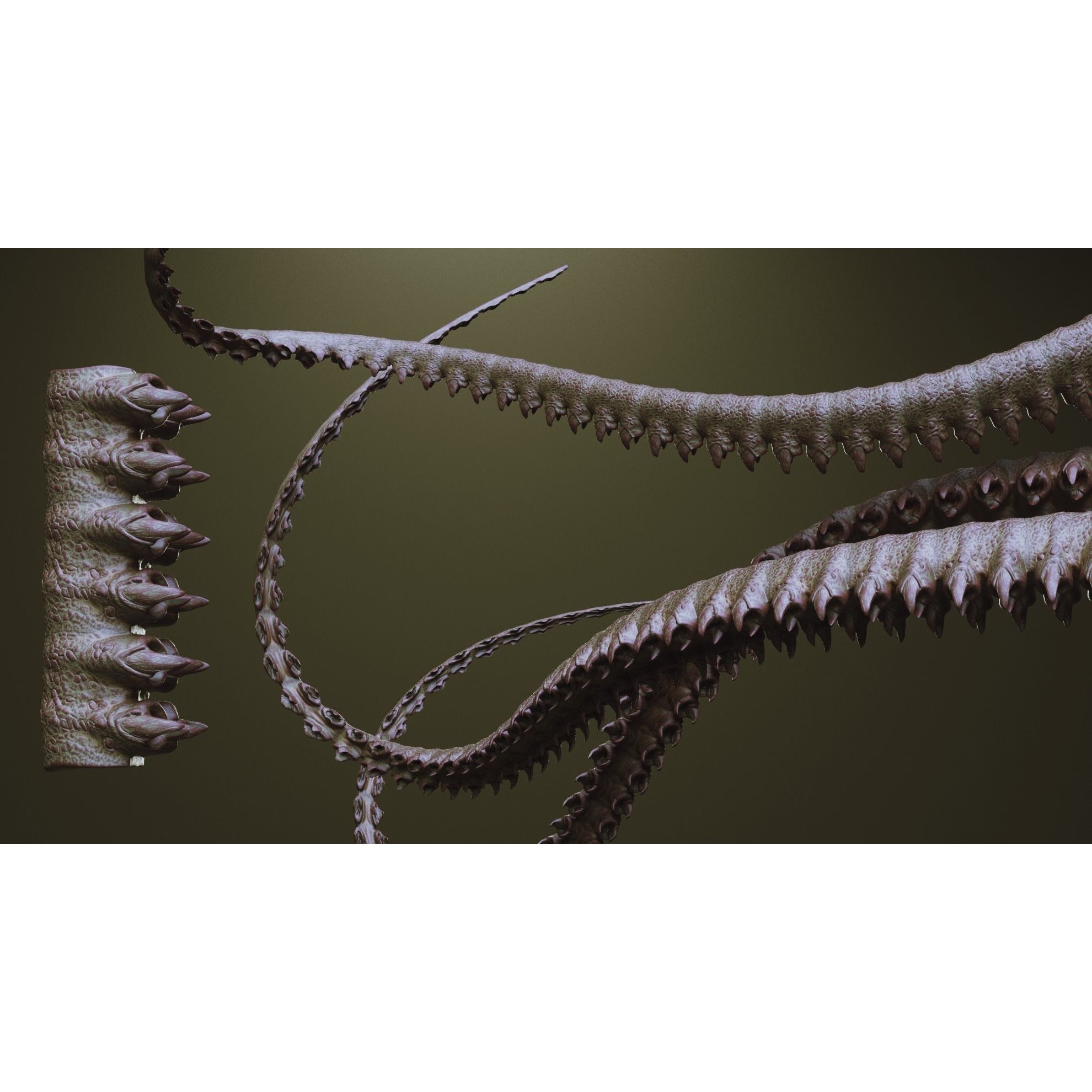 Tentacles - ZBrush Brushes and OBJ 3D Model - View 36