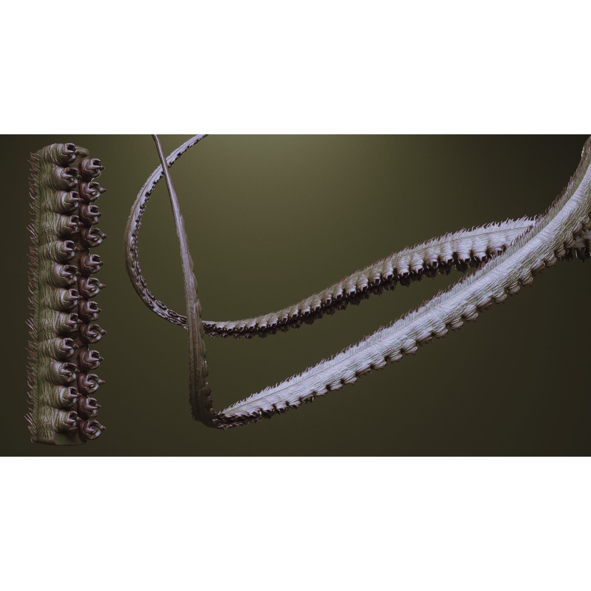 Tentacles - ZBrush Brushes and OBJ 3D Model - View 37