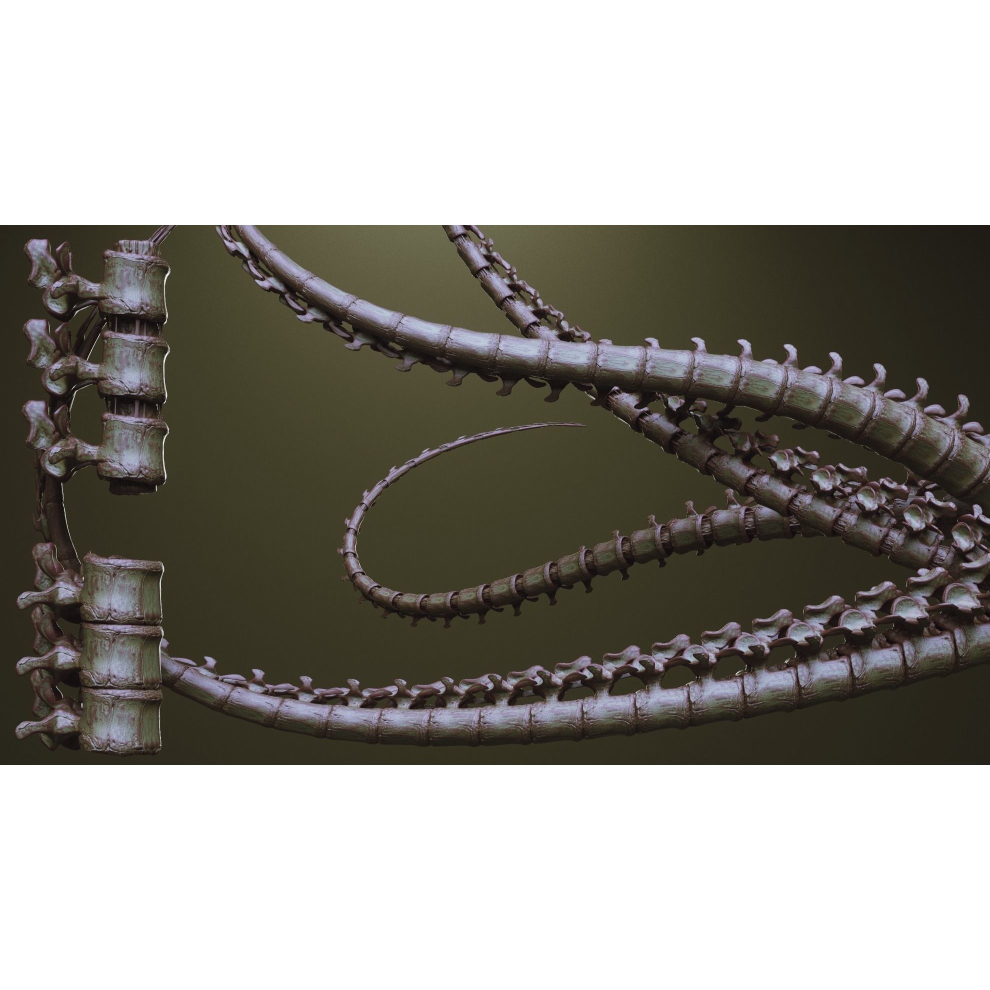 Tentacles - ZBrush Brushes and OBJ 3D Model - View 43