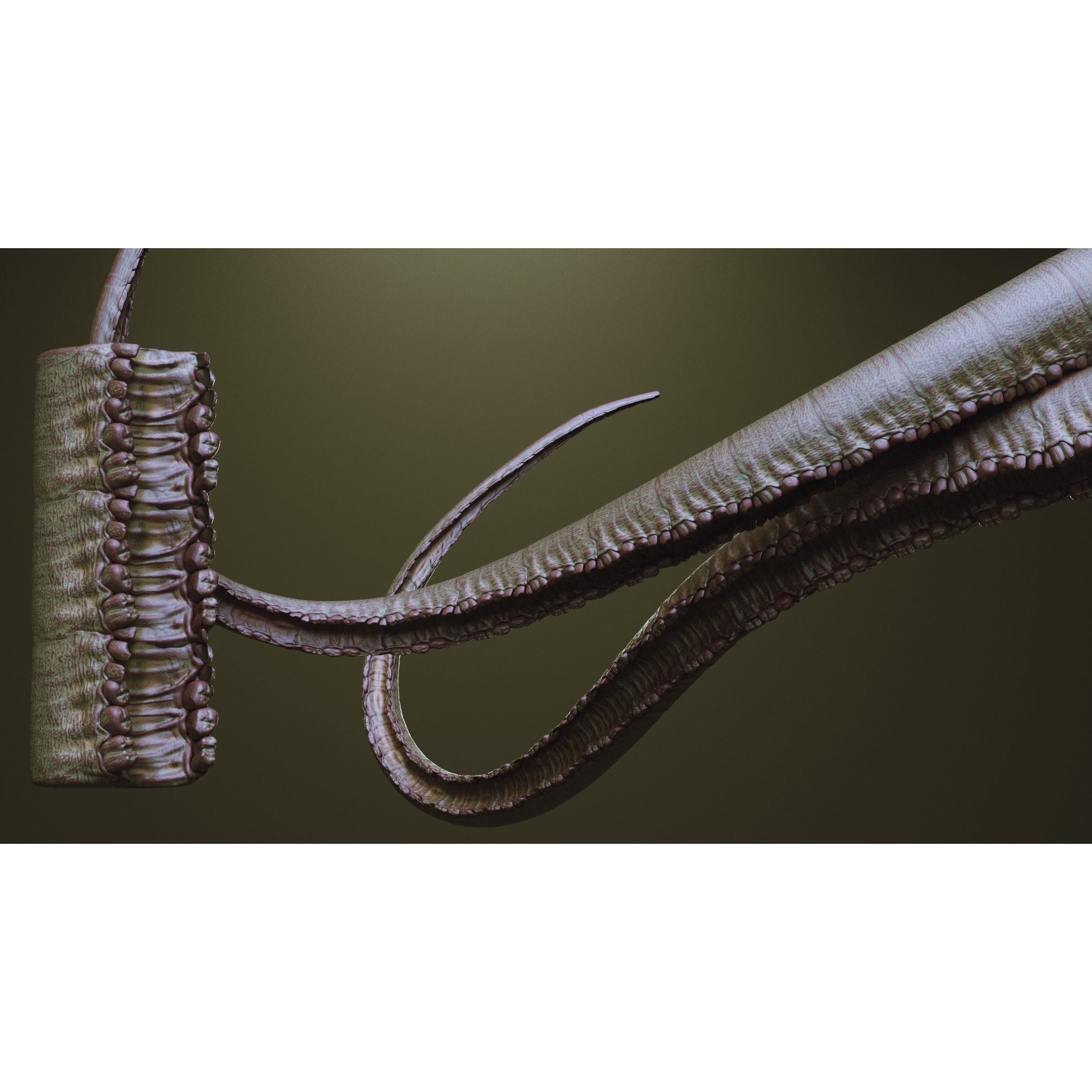 Tentacles - ZBrush Brushes and OBJ 3D Model - View 44