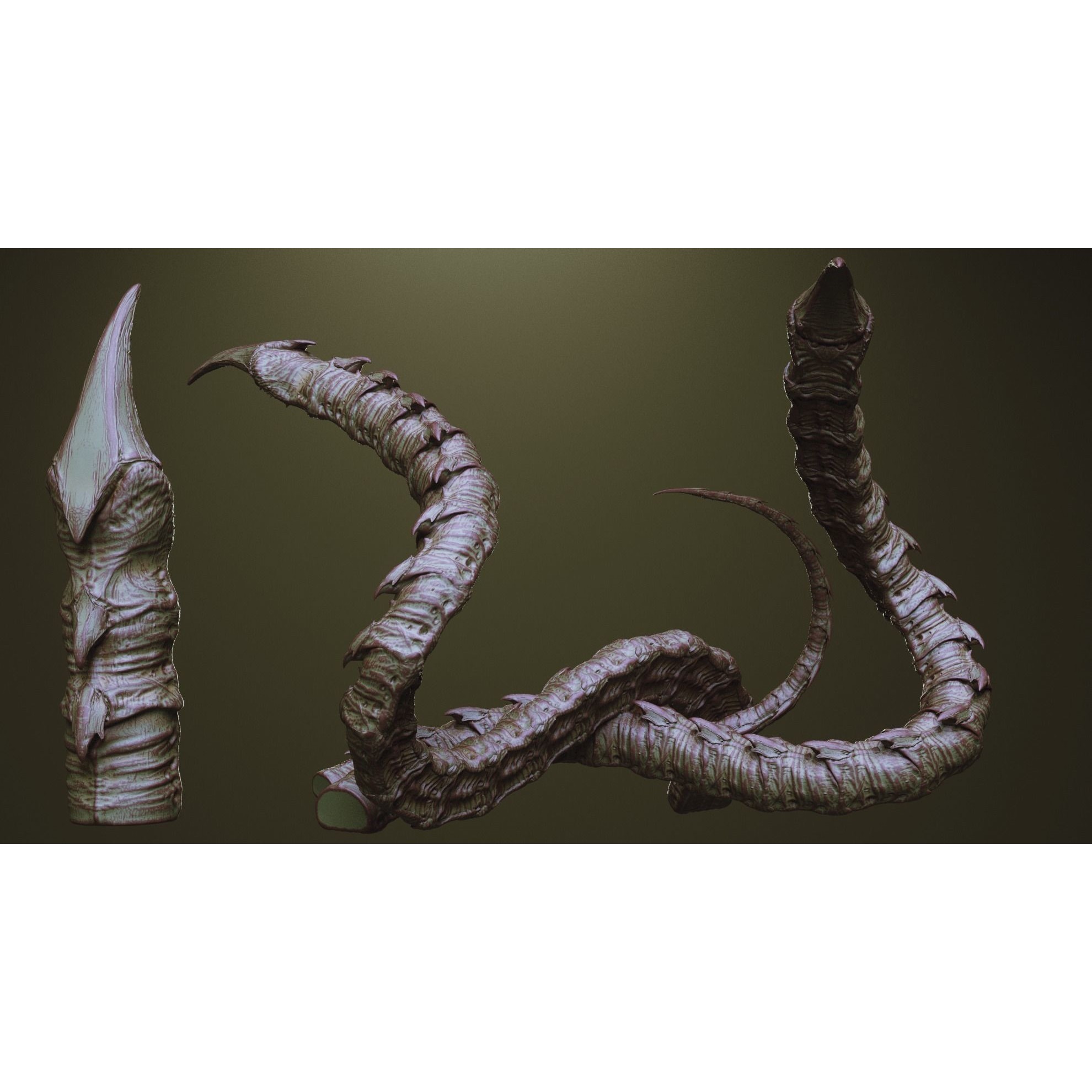 Tentacles - ZBrush Brushes and OBJ 3D Model - View 5