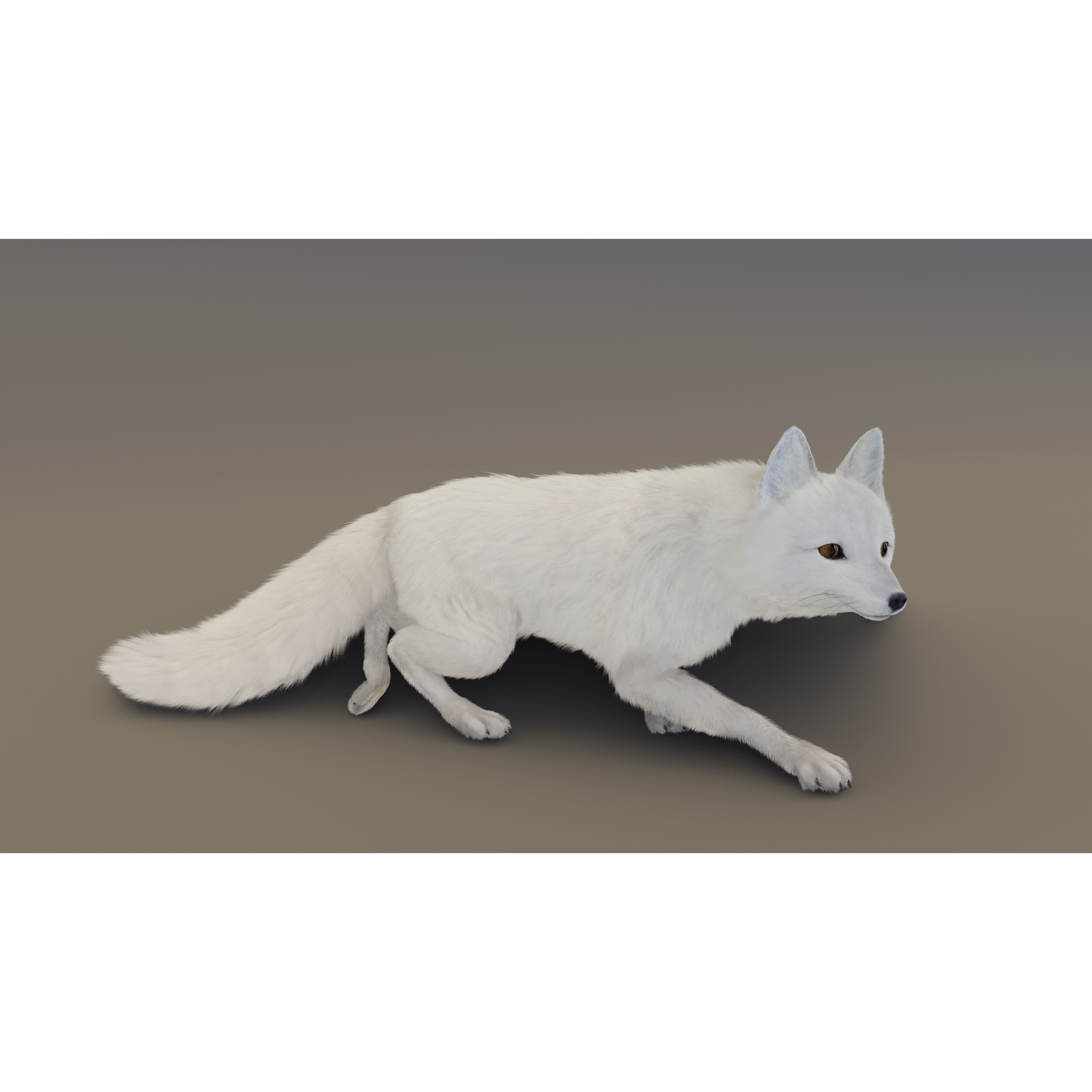 Arctic Fox - Rigged Animated 3D Model