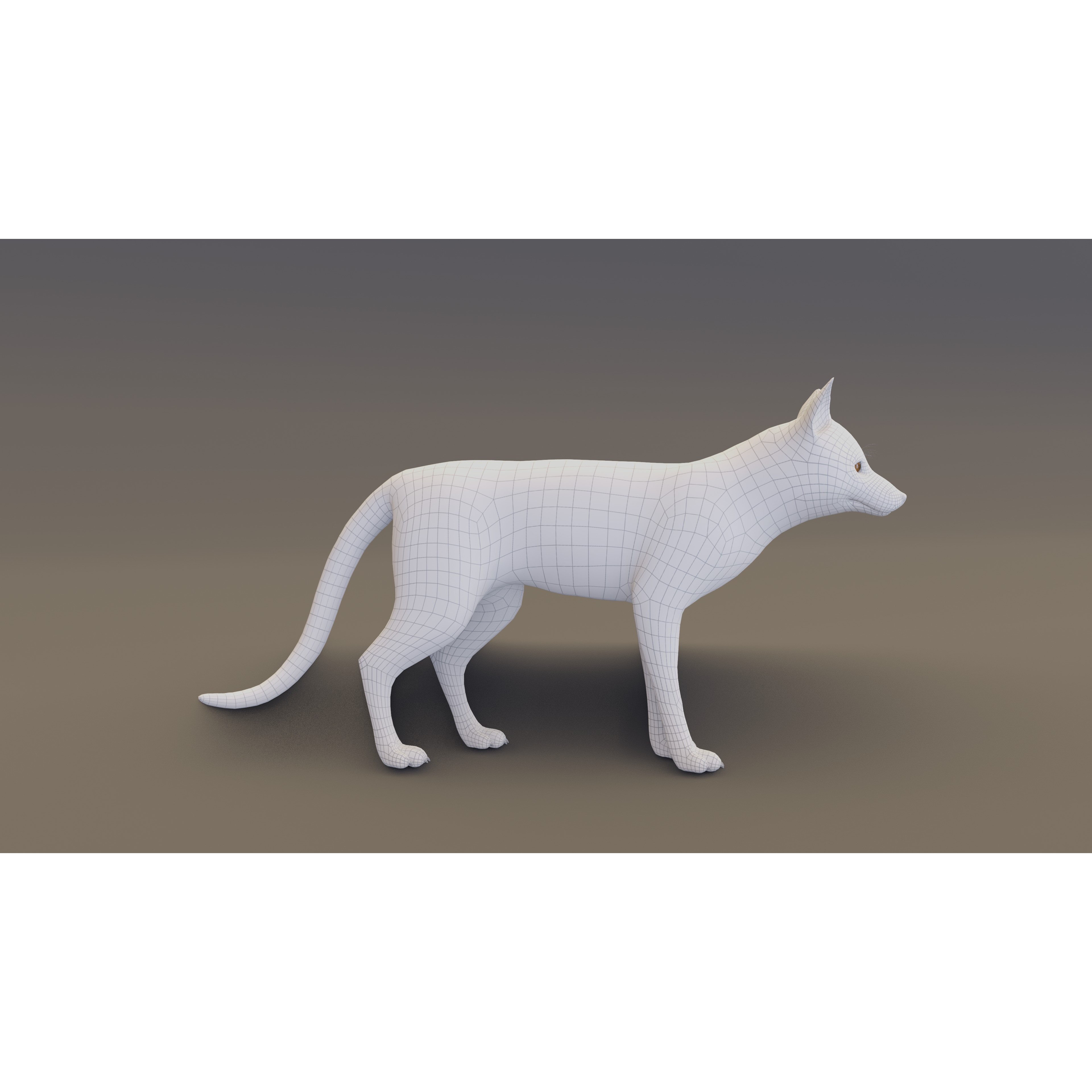 Arctic Fox - Rigged Animated 3D Model - View 10