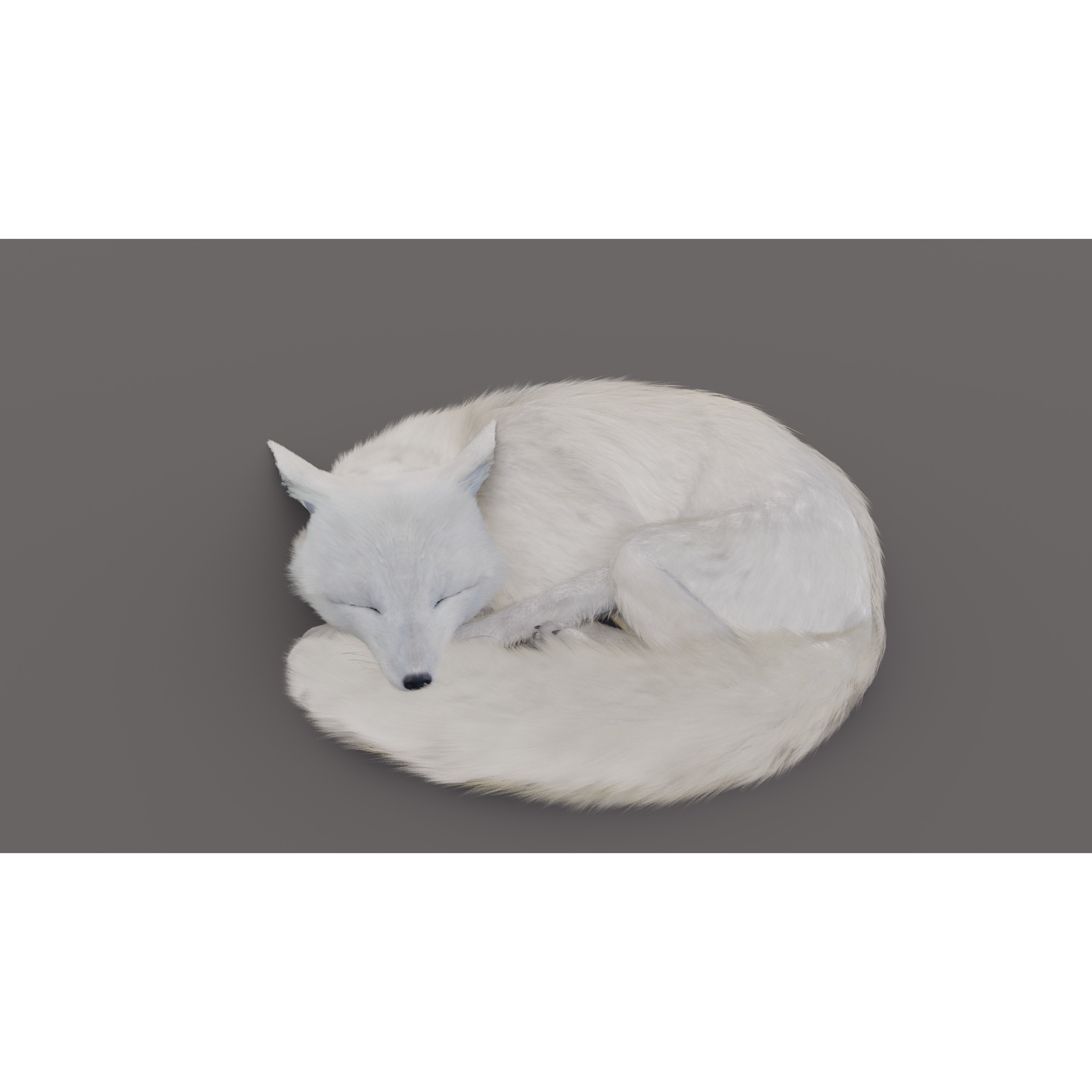 Arctic Fox - Rigged Animated 3D Model - View 7