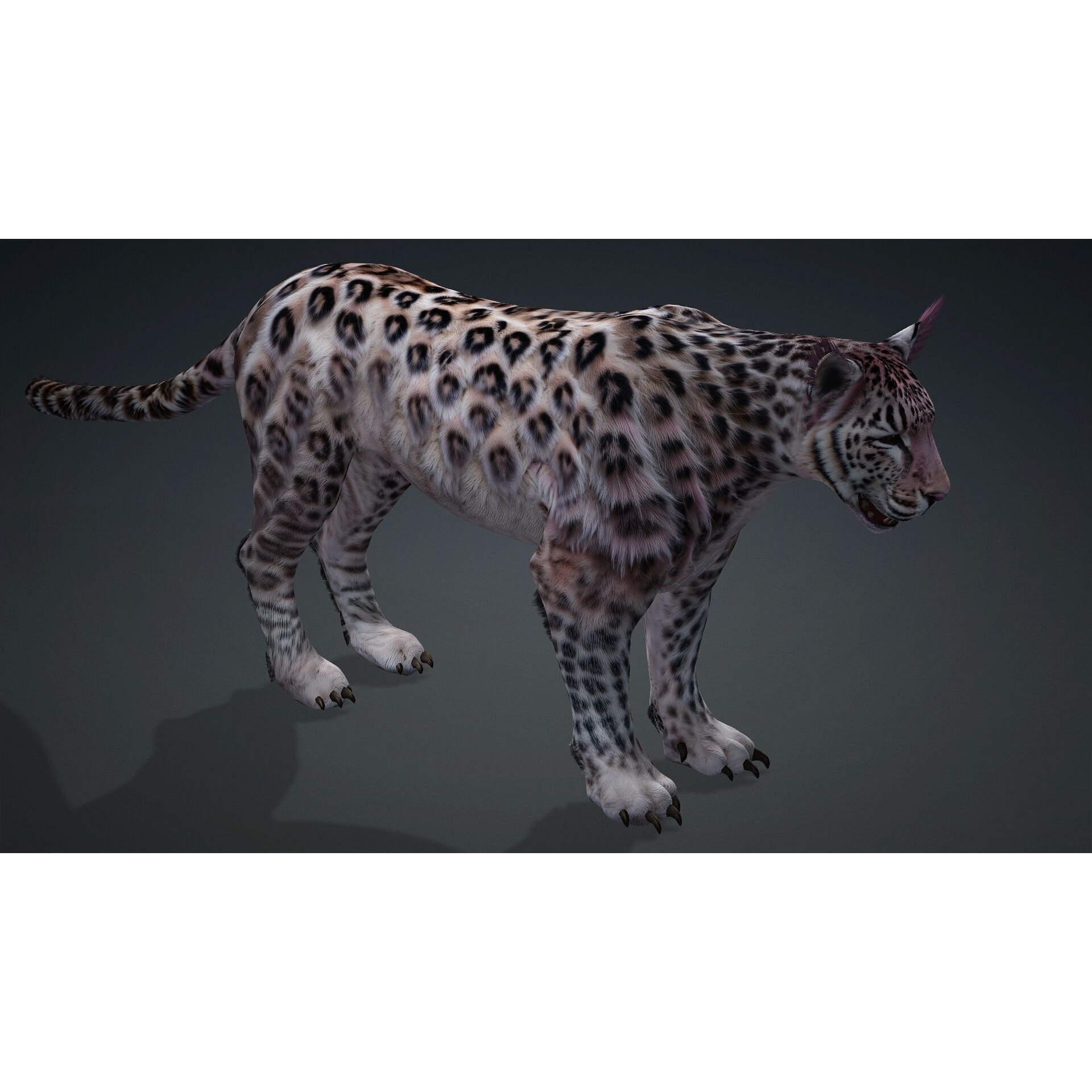 Panther-B1 - Game-Ready 3D Model - View 13
