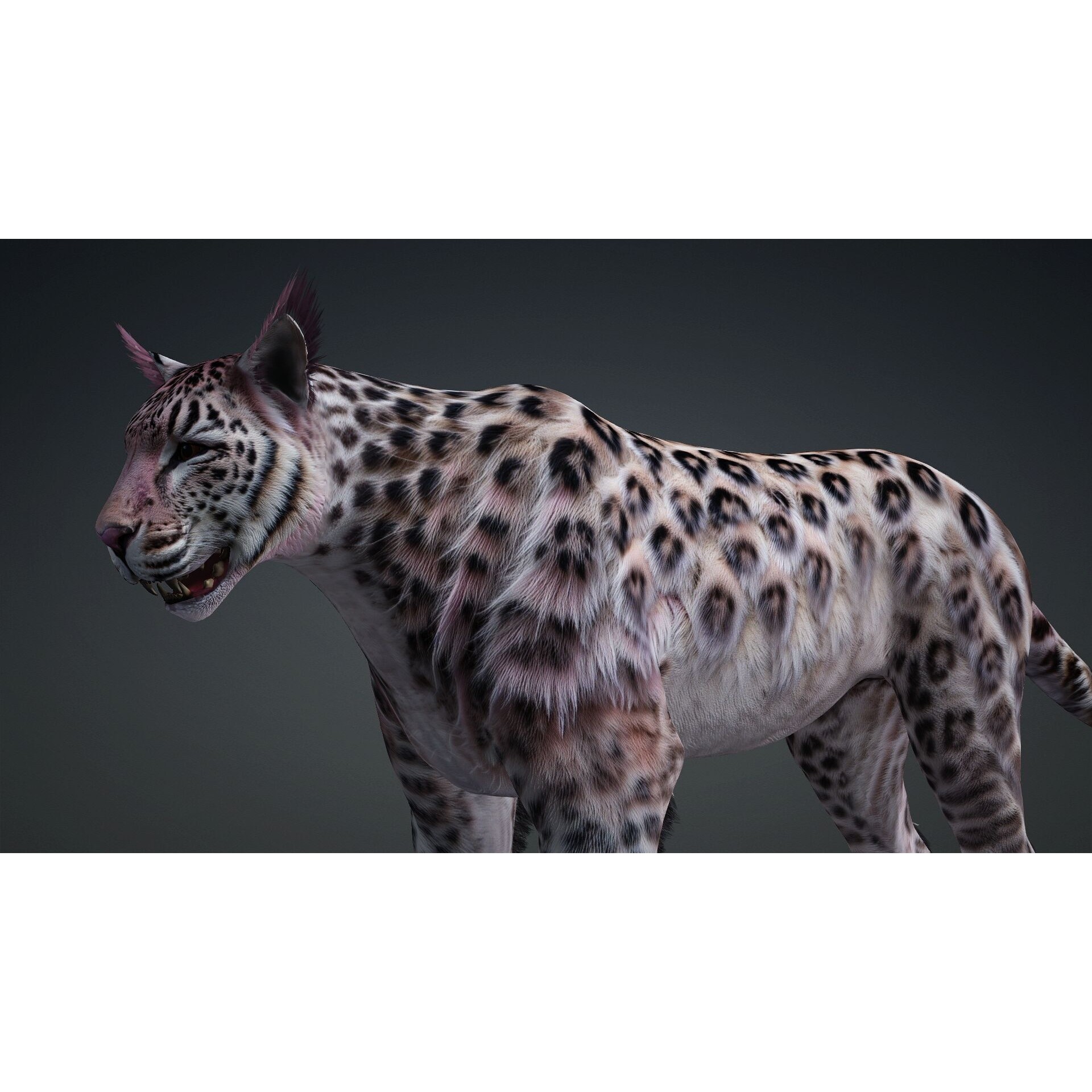 Panther-B1 - Game-Ready 3D Model - View 14