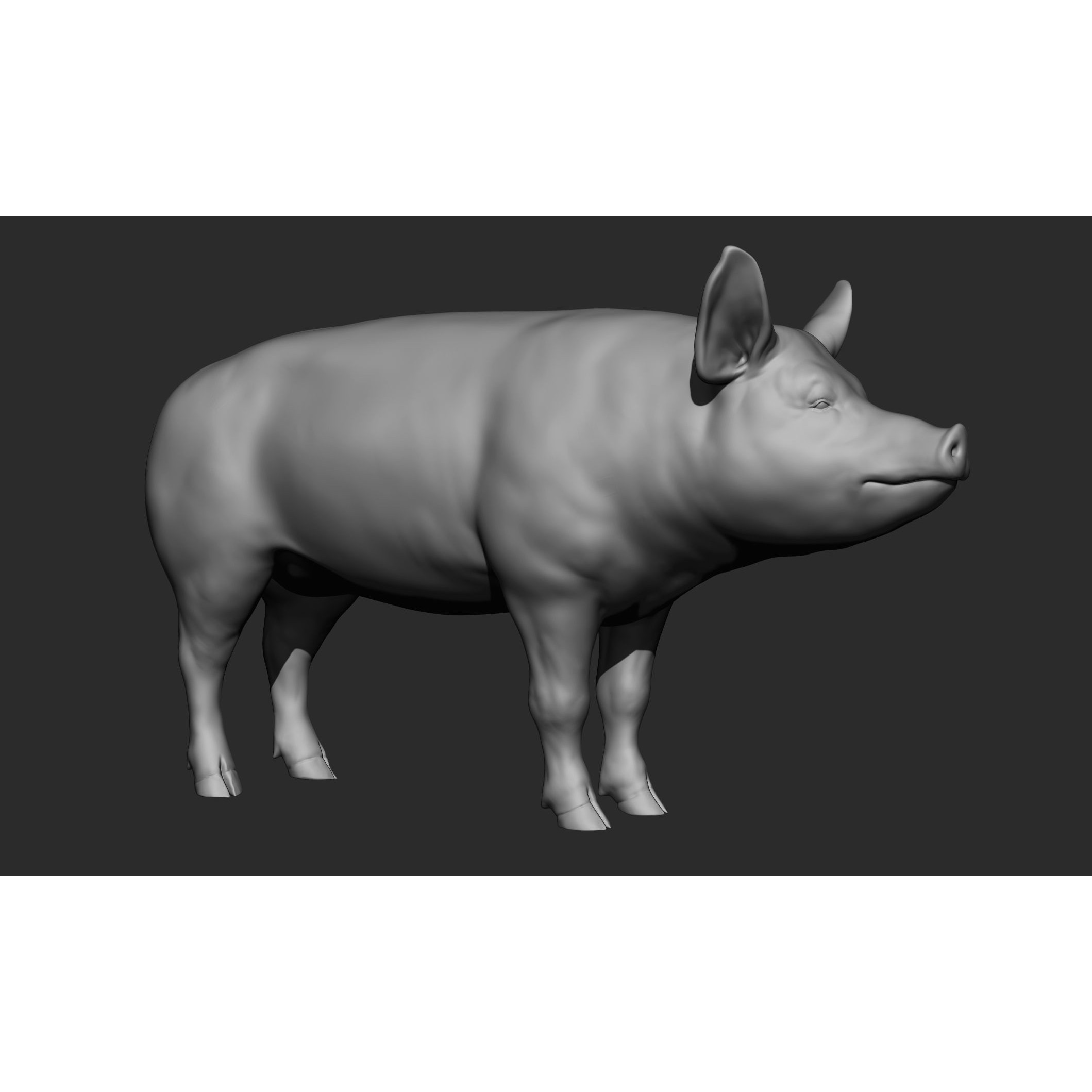 Domestic Animal Collection - Game-Ready 3D Model - View 100