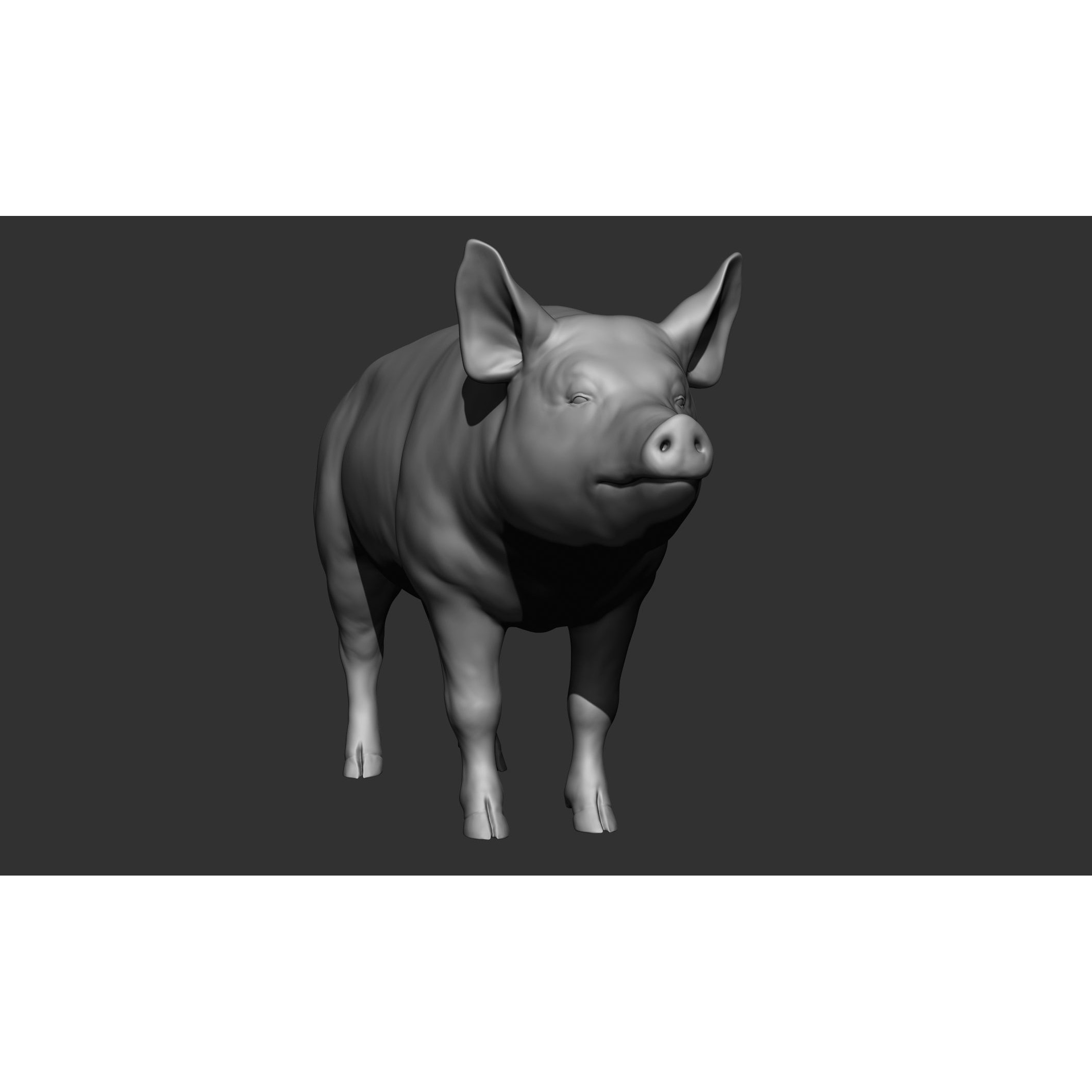 Domestic Animal Collection - Game-Ready 3D Model - View 101
