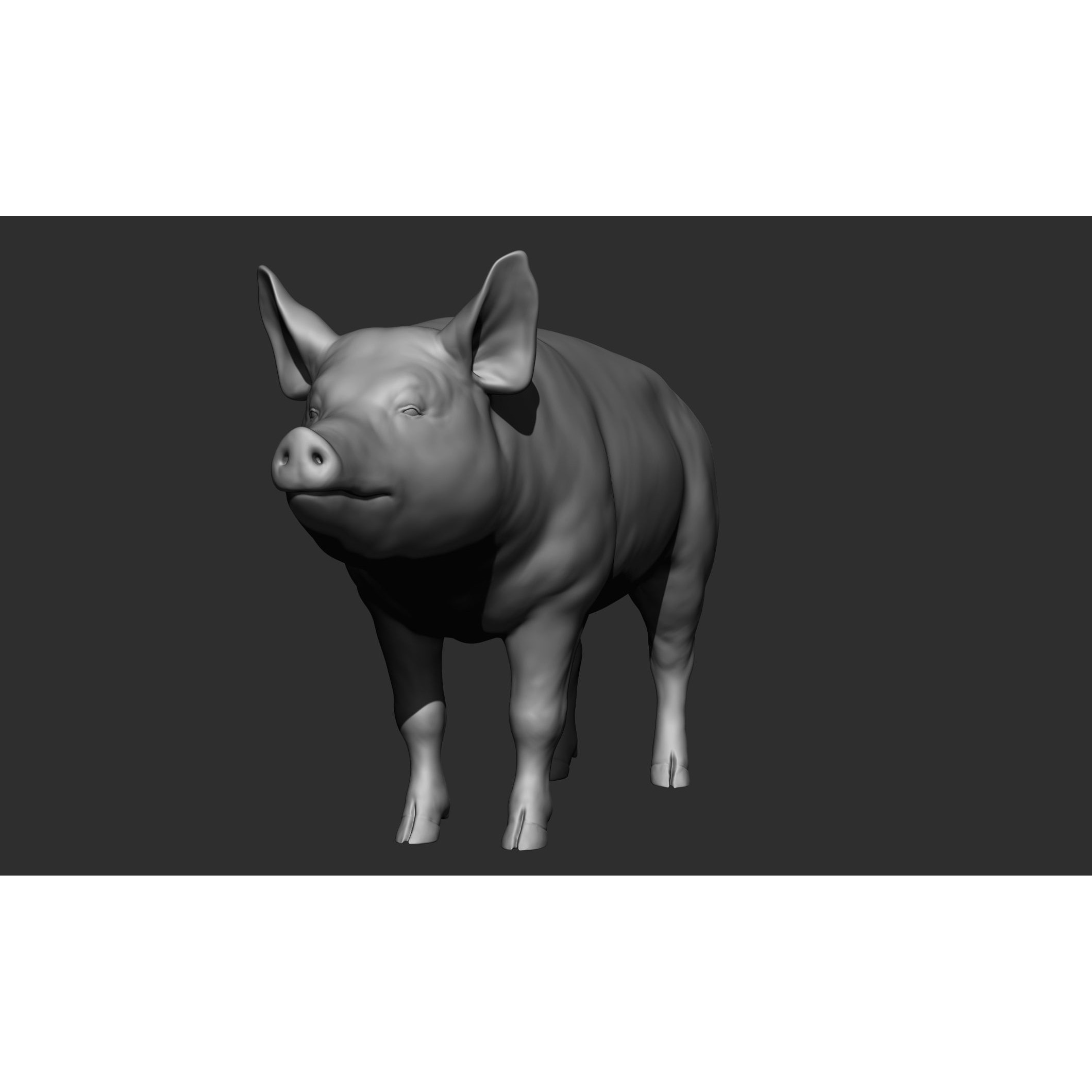 Domestic Animal Collection - Game-Ready 3D Model - View 102