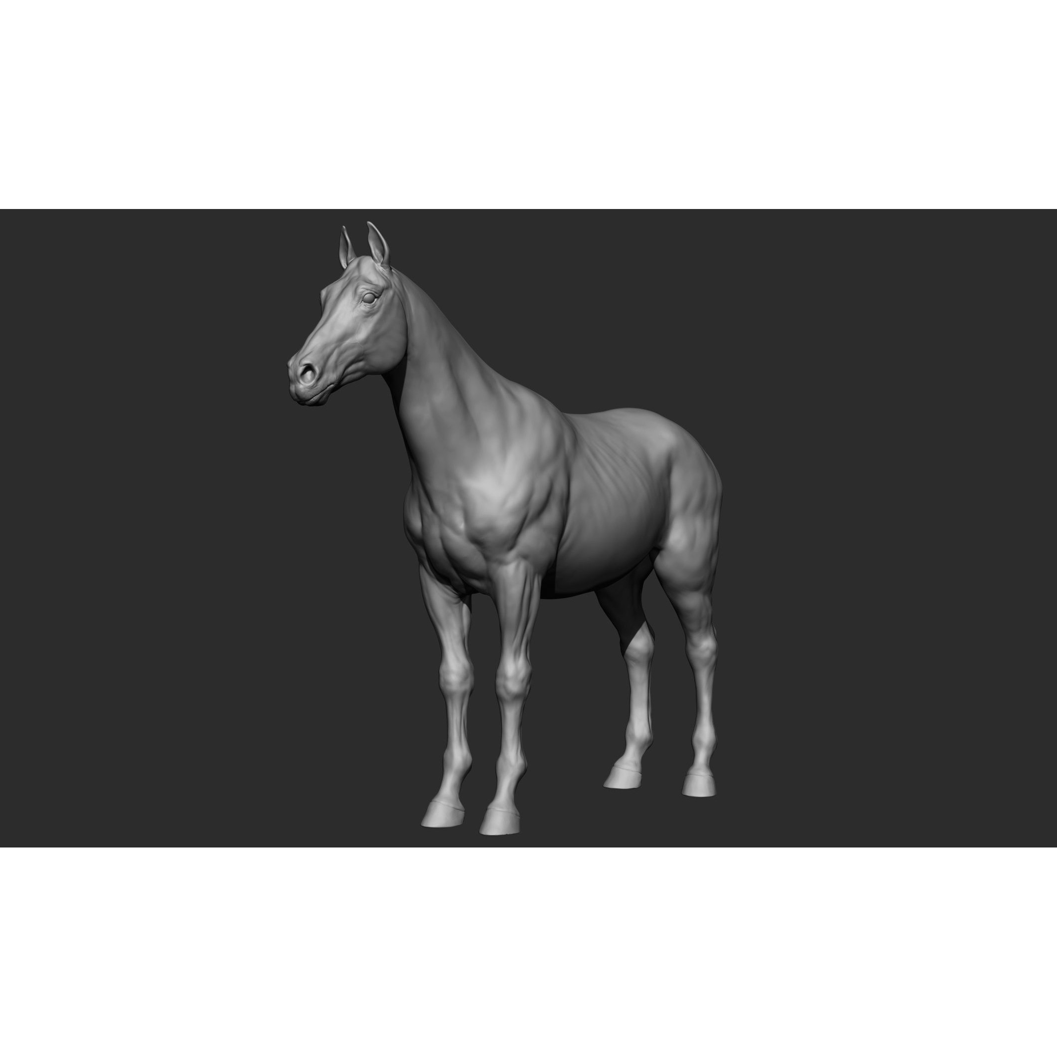 Domestic Animal Collection - Game-Ready 3D Model - View 11