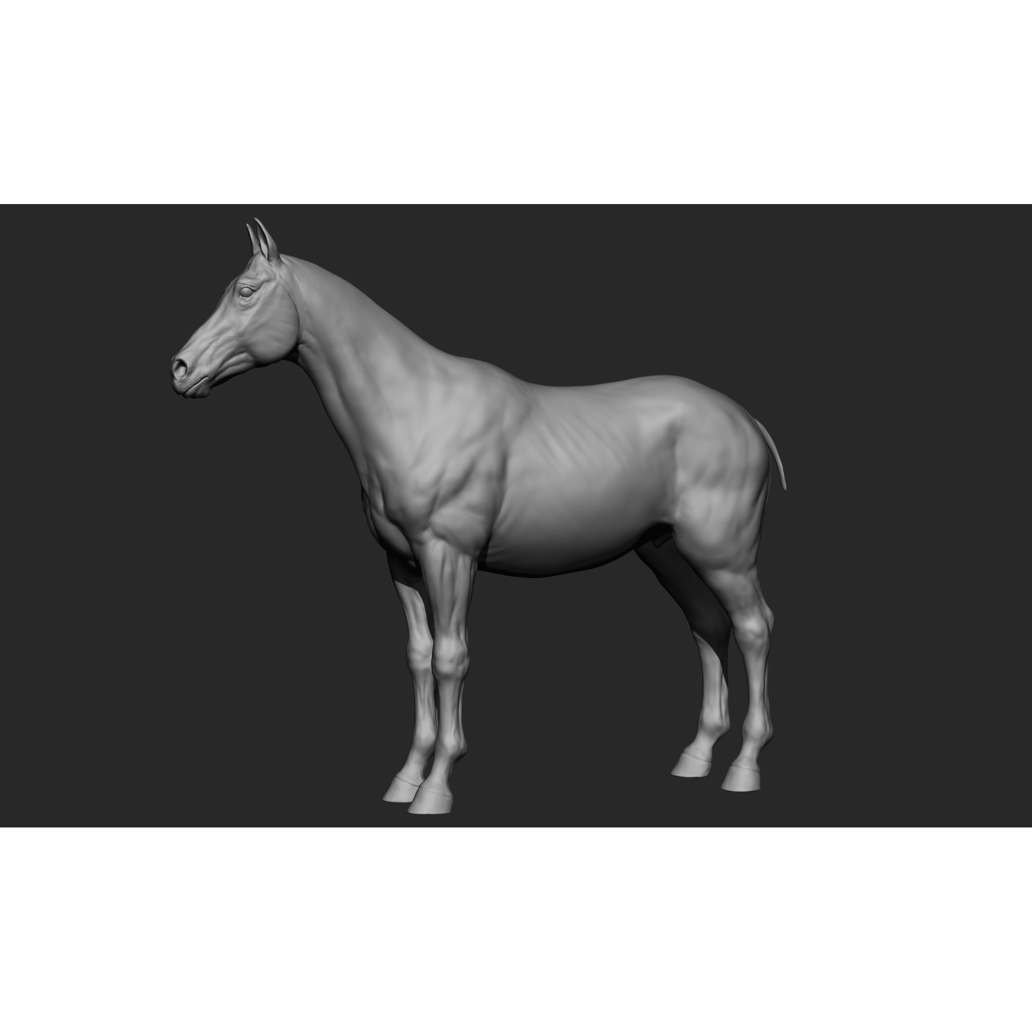 Domestic Animal Collection - Game-Ready 3D Model - View 12