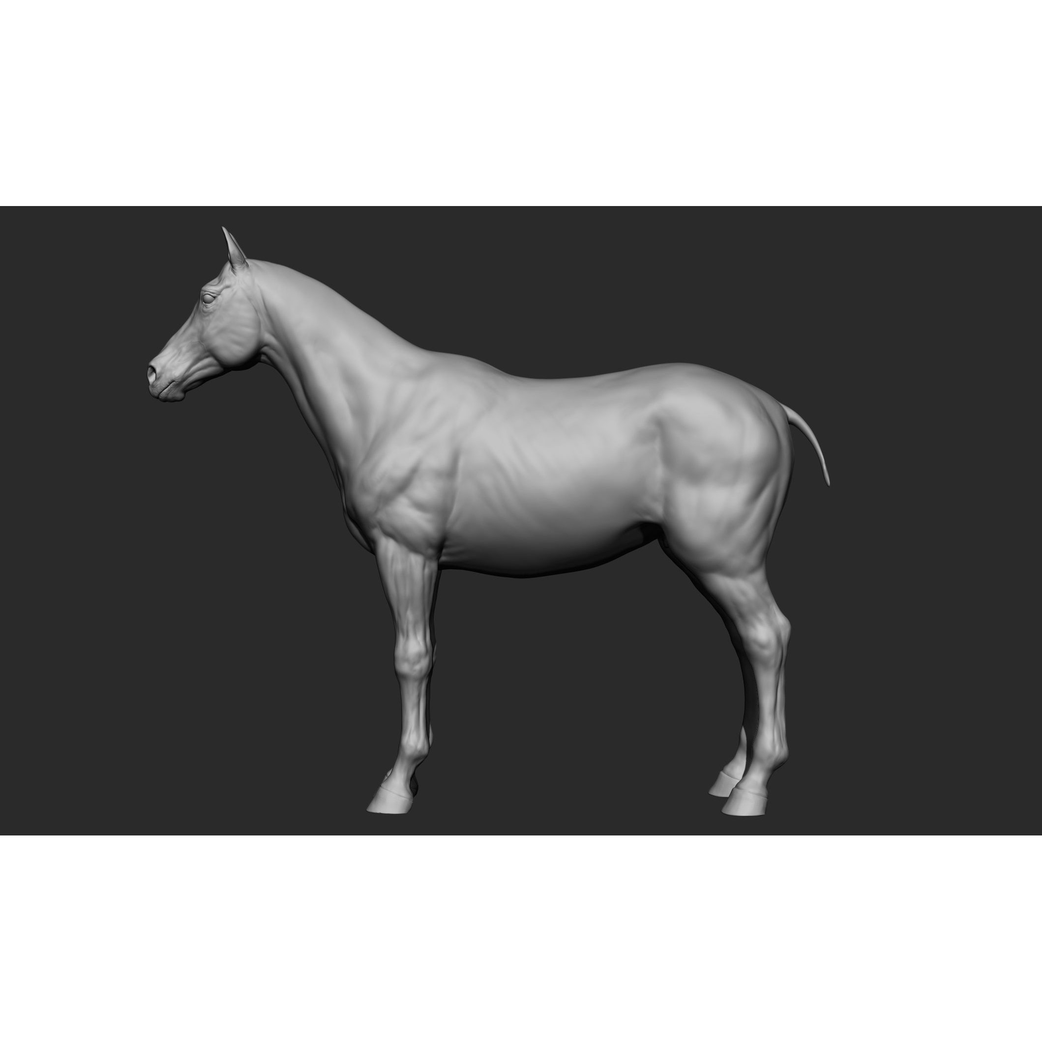 Domestic Animal Collection - Game-Ready 3D Model - View 13