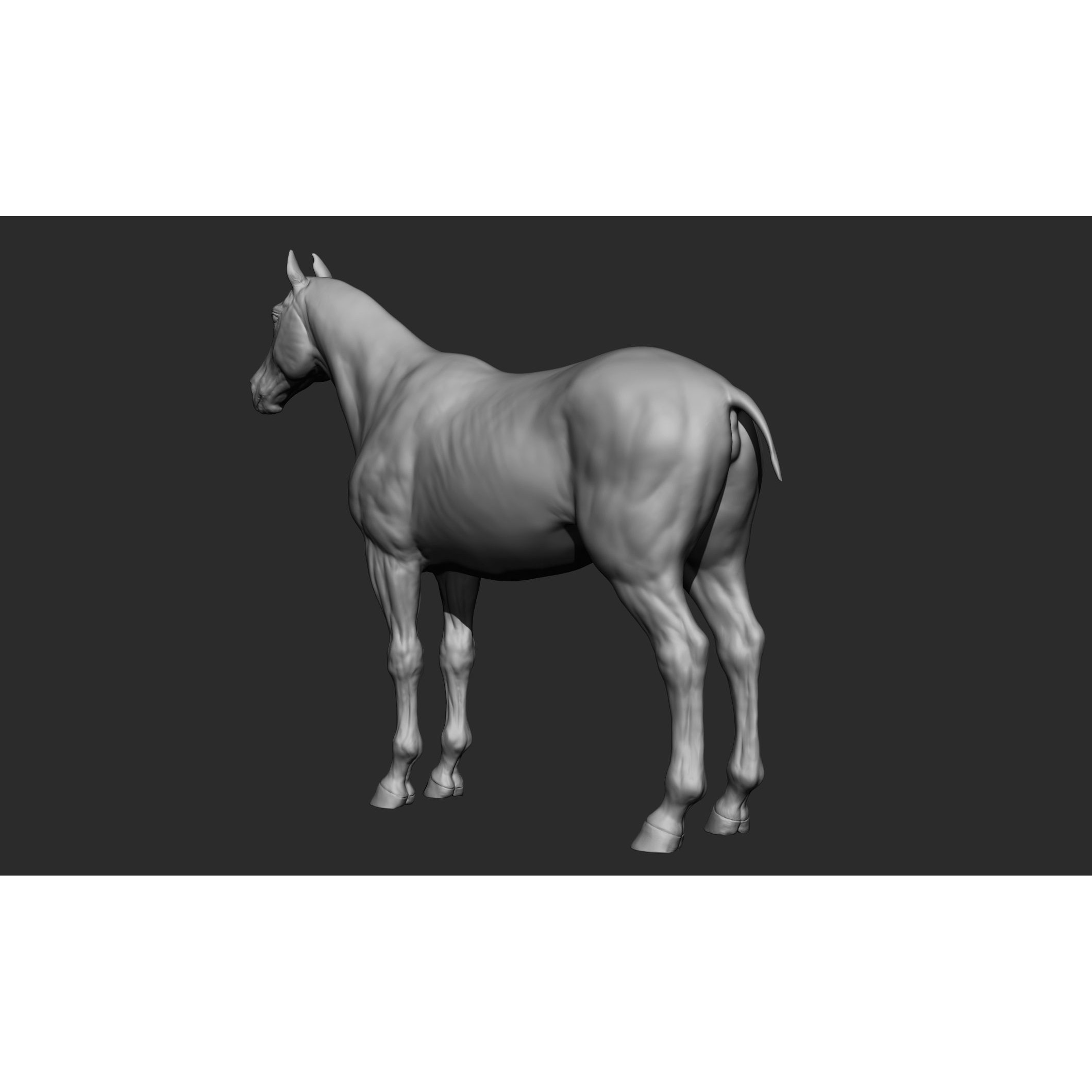 Domestic Animal Collection - Game-Ready 3D Model - View 14