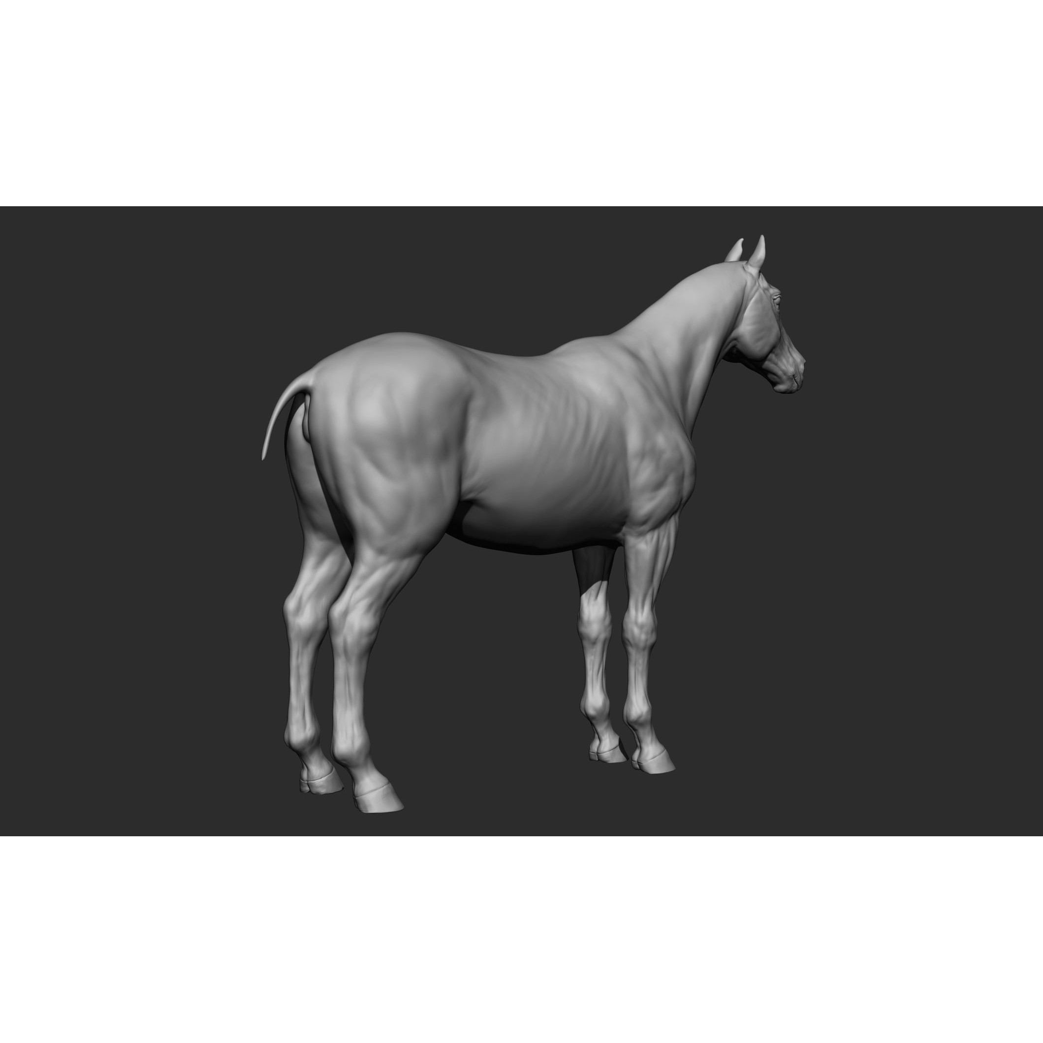 Domestic Animal Collection - Game-Ready 3D Model - View 15
