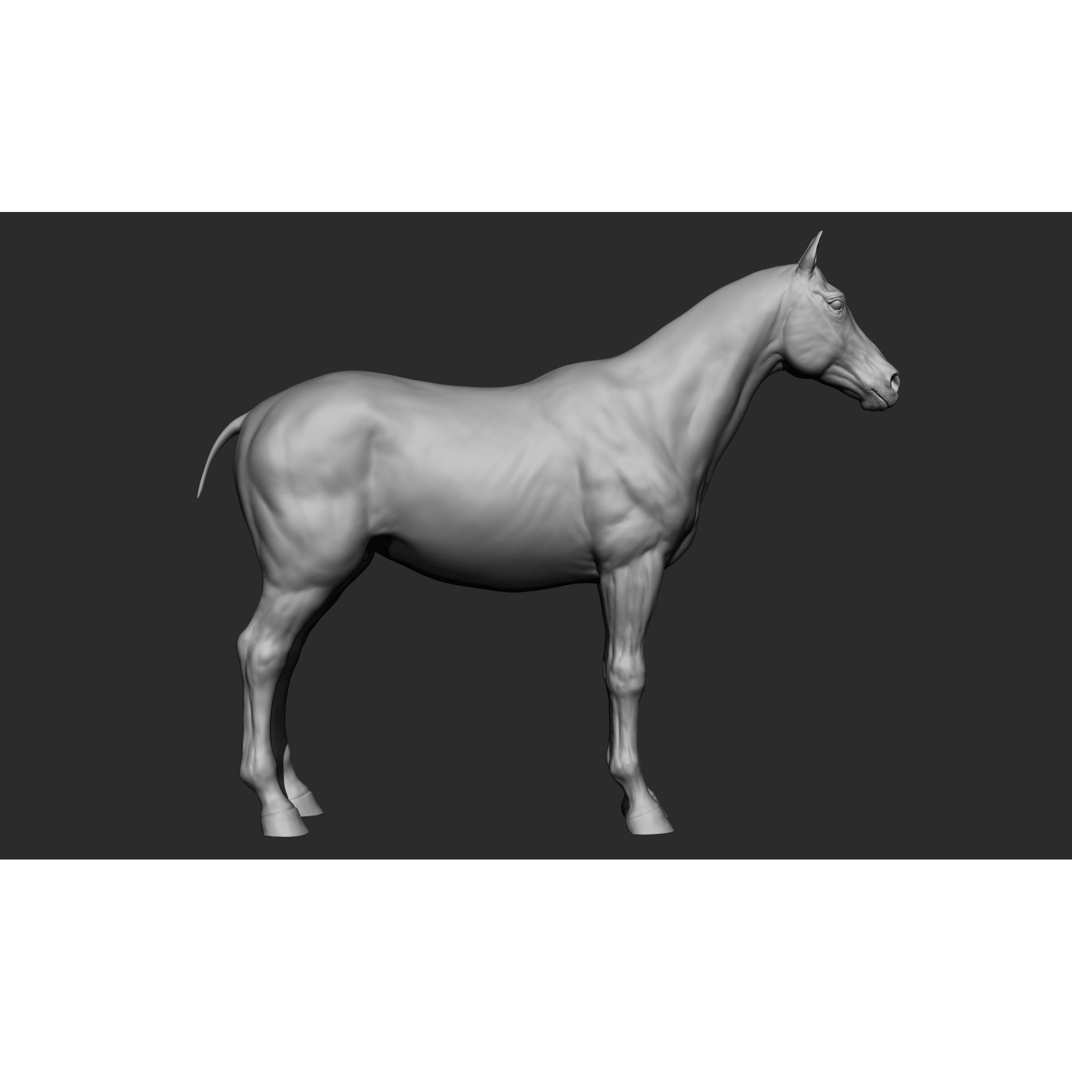 Domestic Animal Collection - Game-Ready 3D Model - View 16