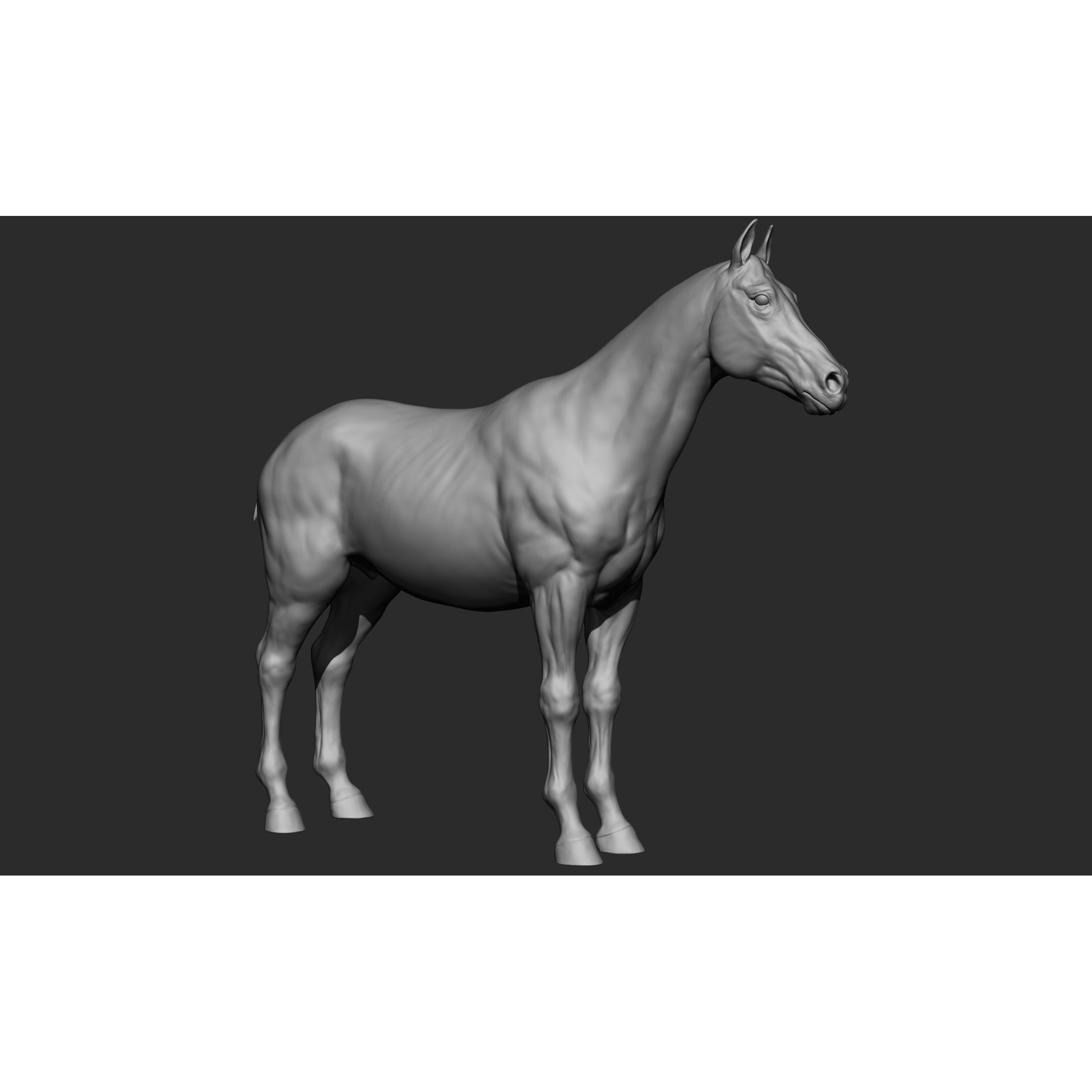 Domestic Animal Collection - Game-Ready 3D Model - View 17