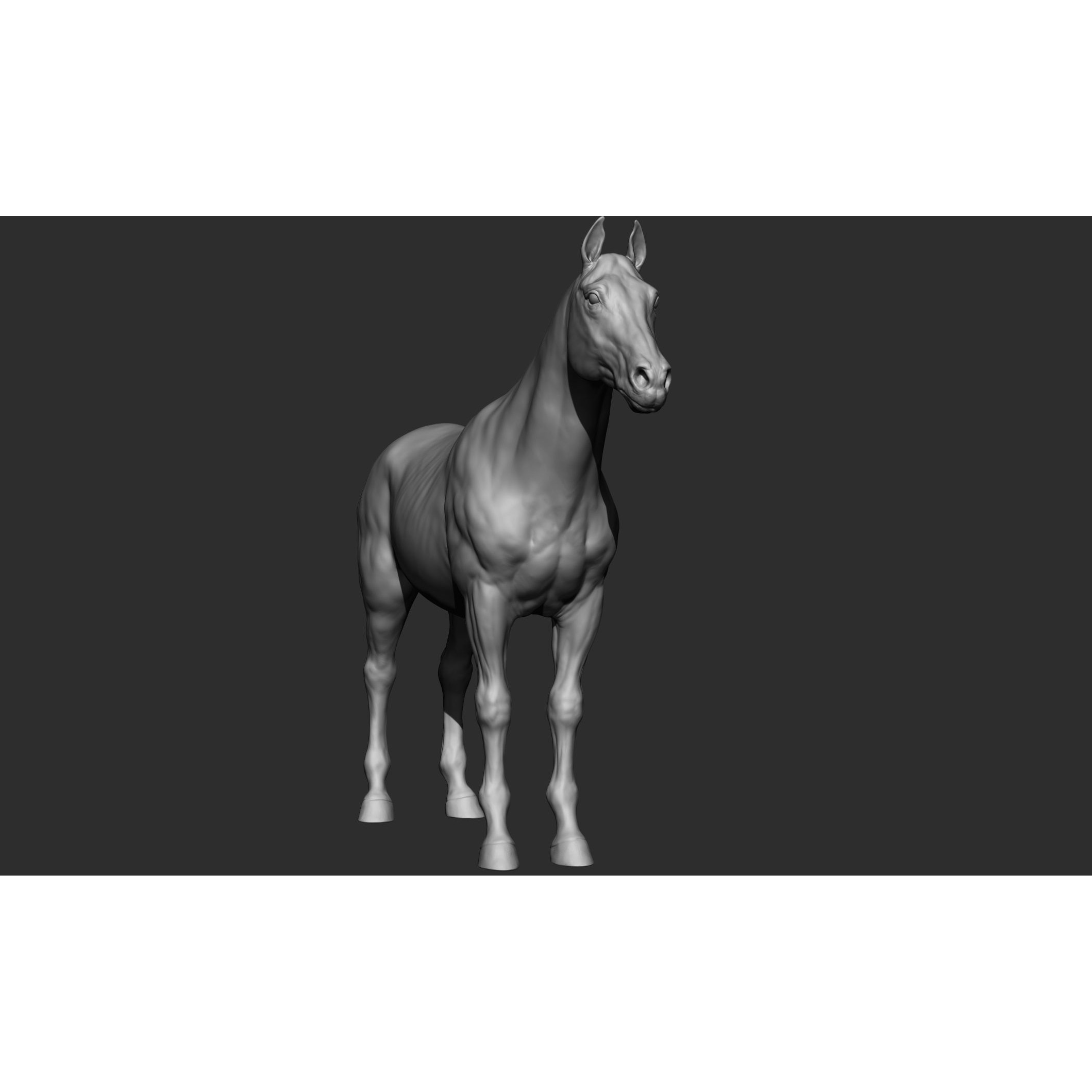 Domestic Animal Collection - Game-Ready 3D Model - View 18