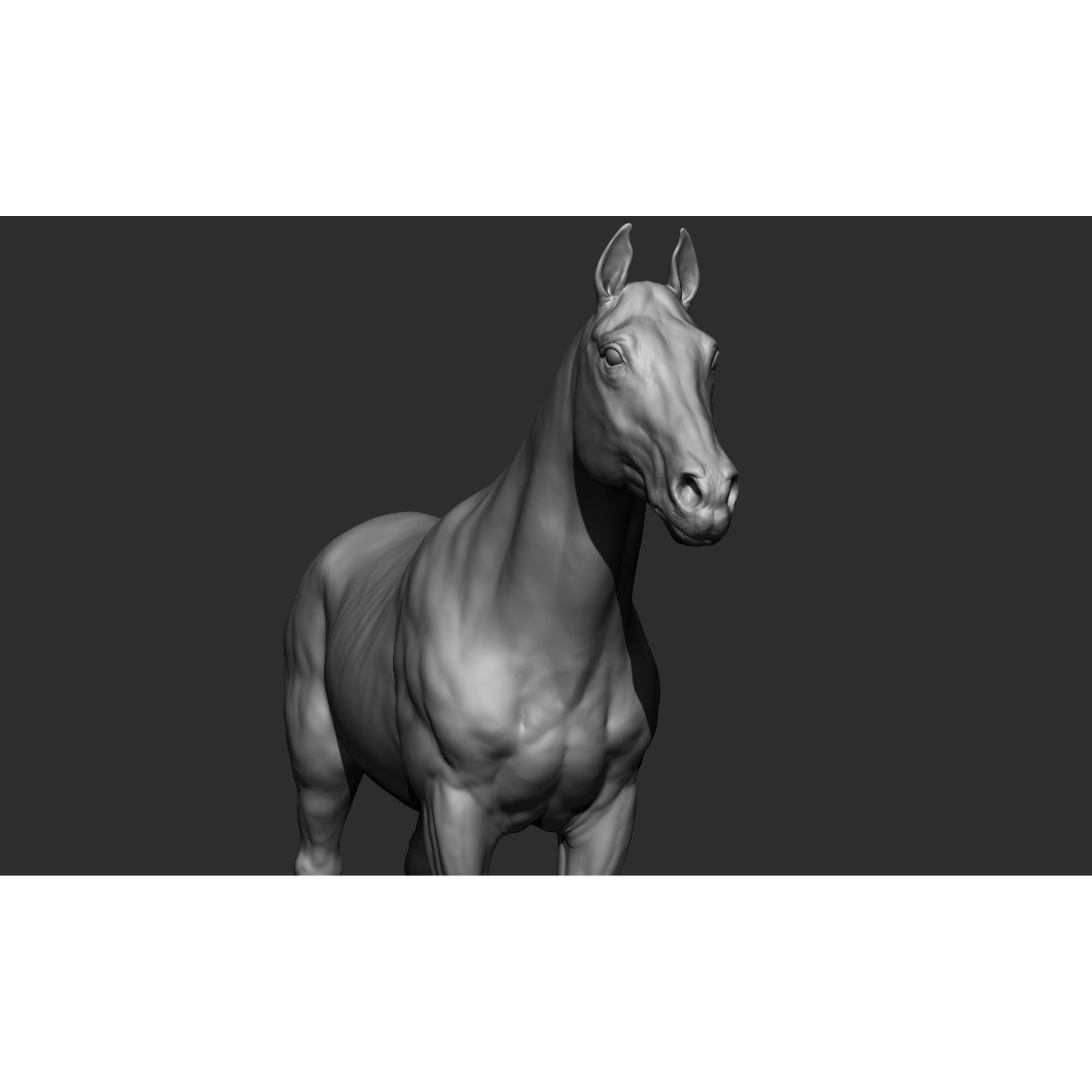Domestic Animal Collection - Game-Ready 3D Model - View 19