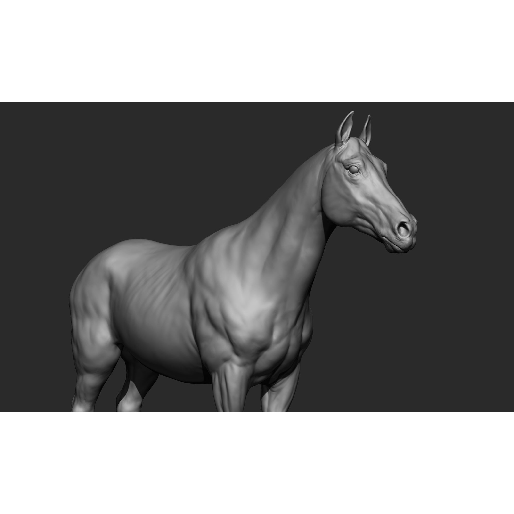 Domestic Animal Collection - Game-Ready 3D Model - View 20