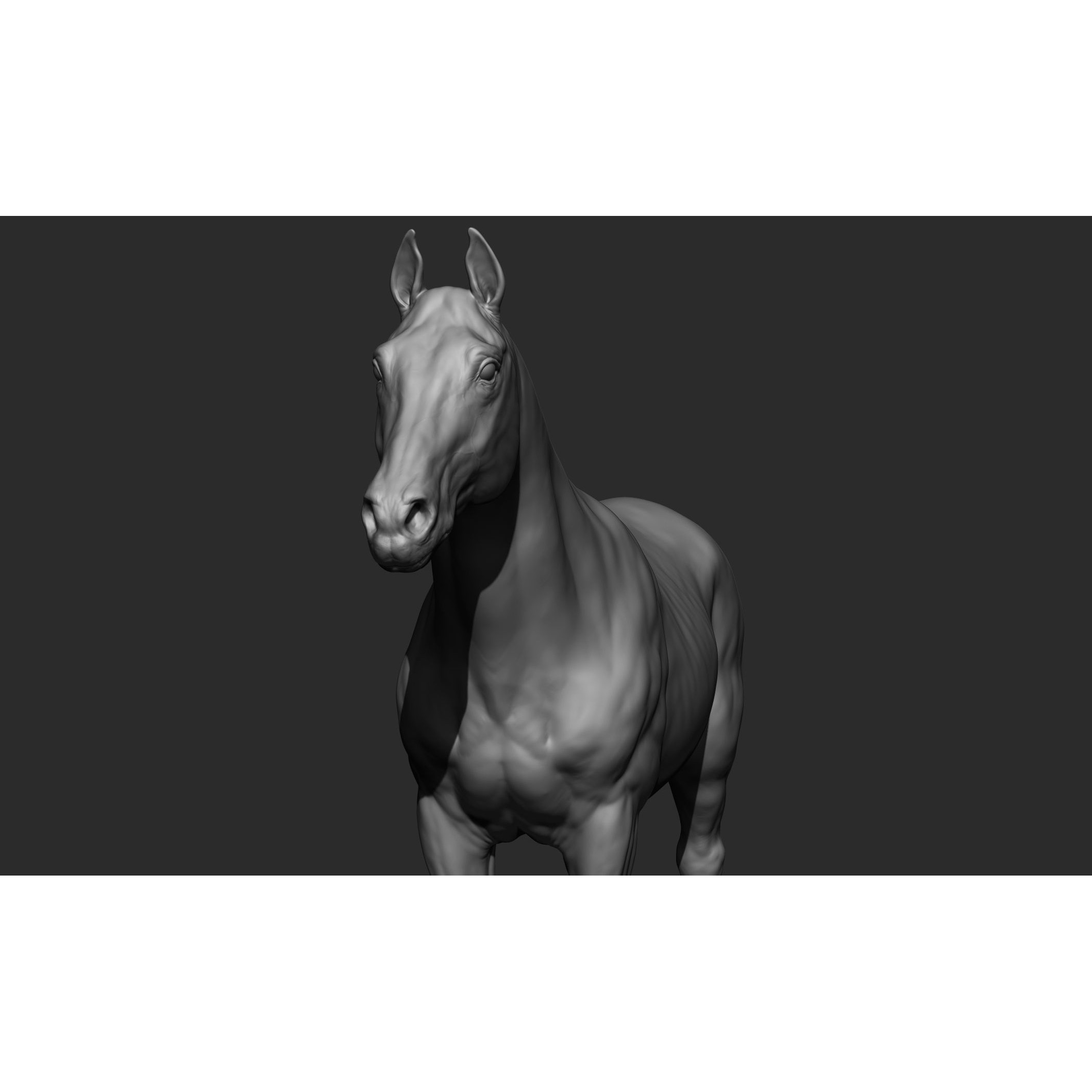 Domestic Animal Collection - Game-Ready 3D Model - View 21
