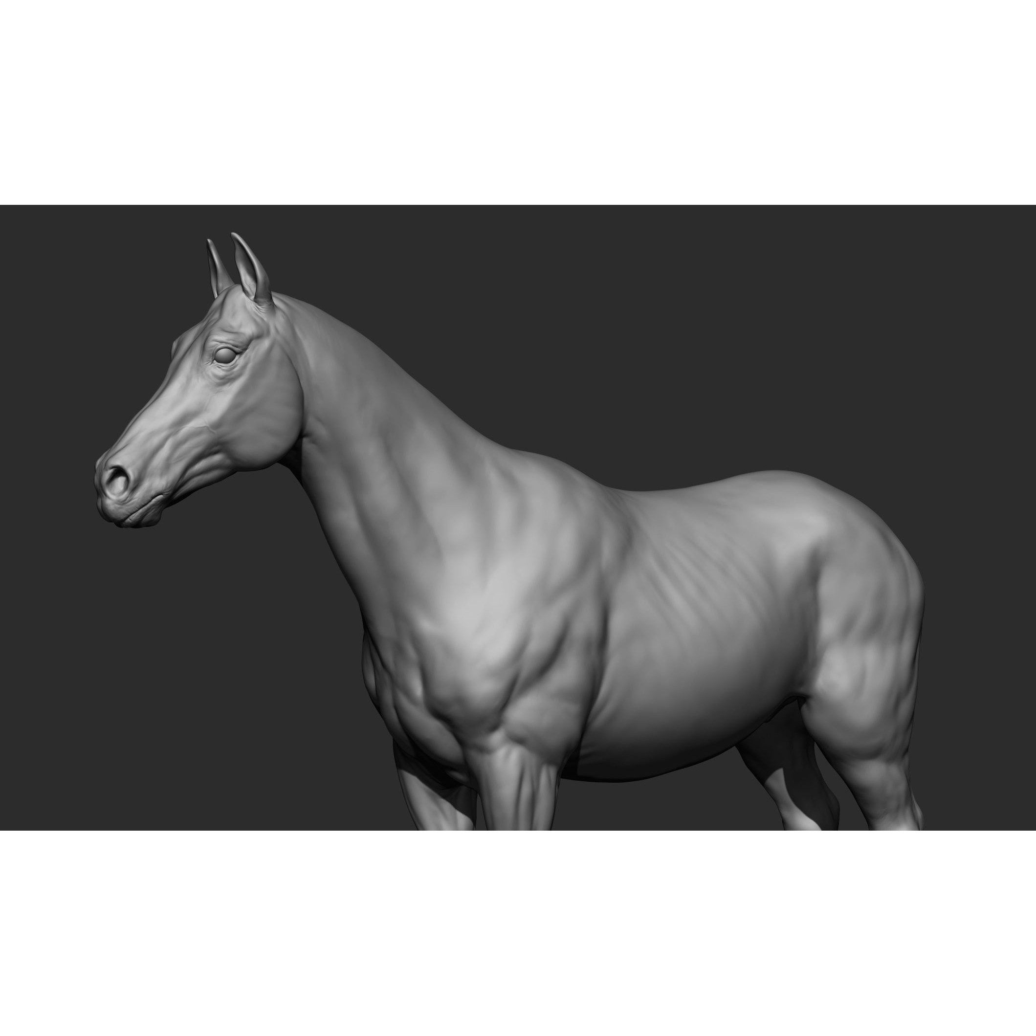 Domestic Animal Collection - Game-Ready 3D Model - View 22