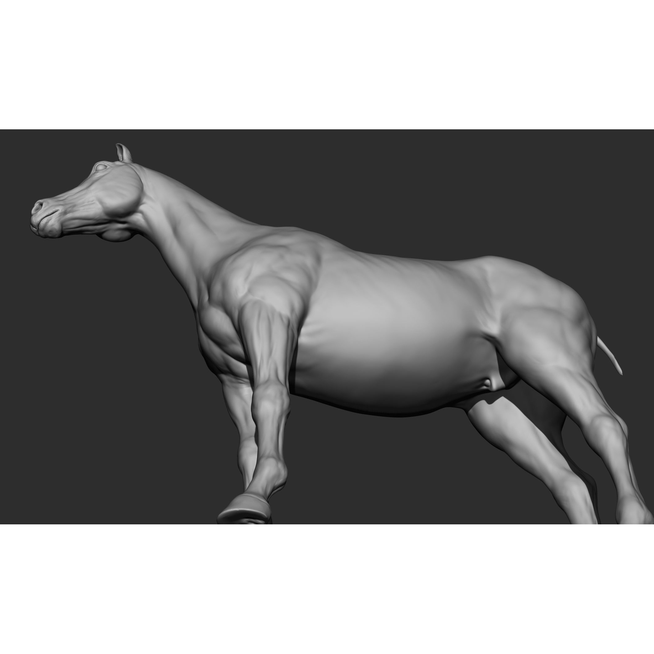 Domestic Animal Collection - Game-Ready 3D Model - View 23